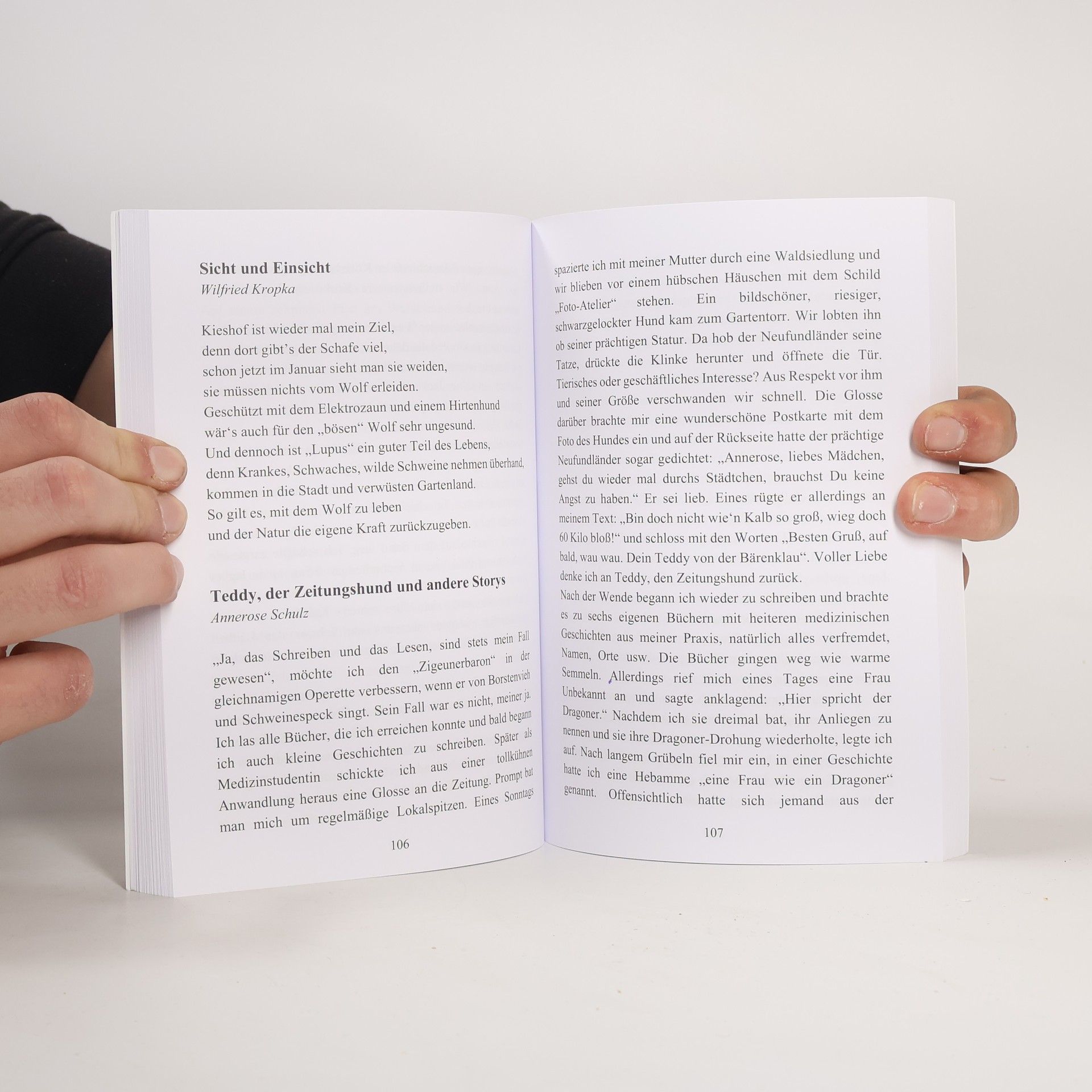 Neues von den Greifenfedern