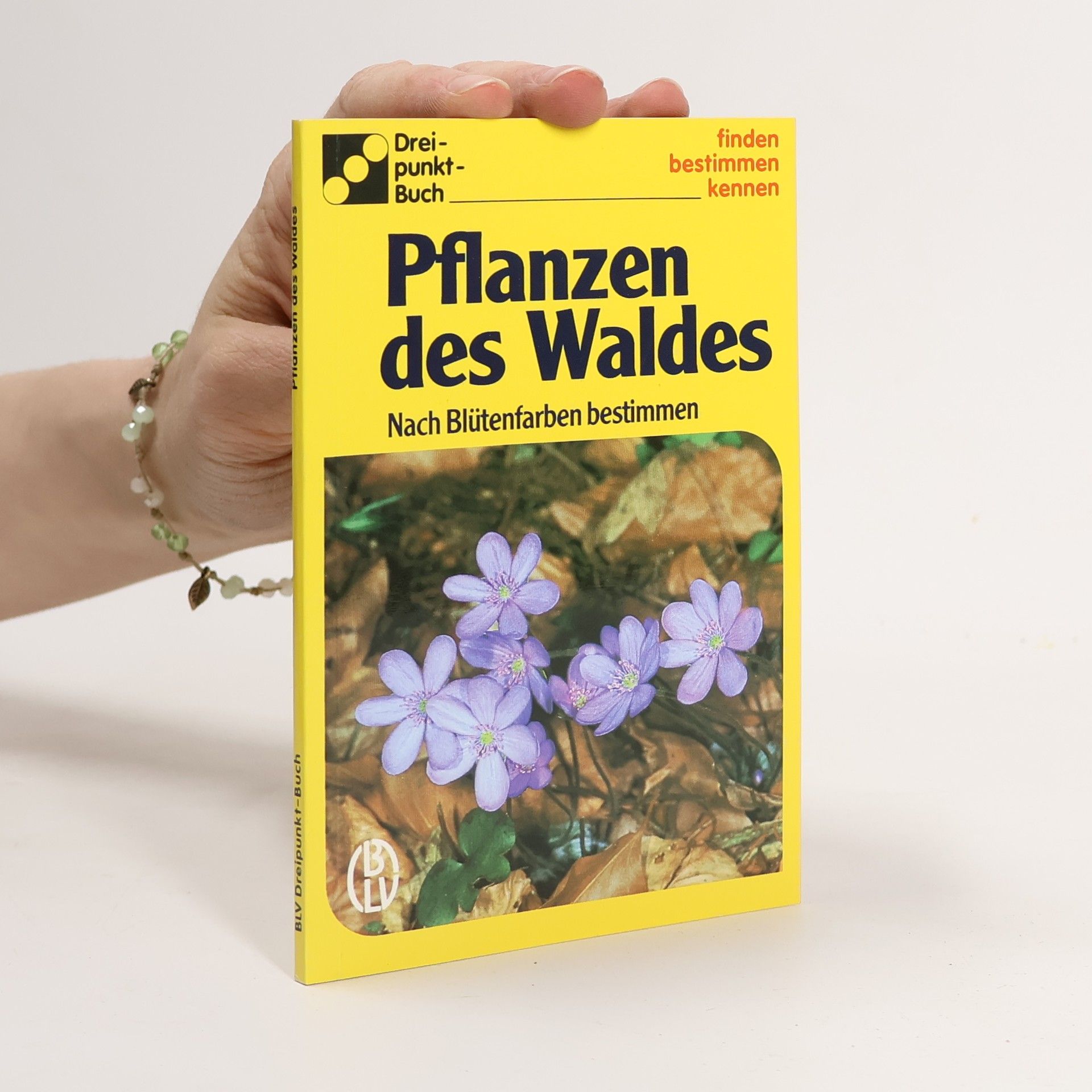 Collectif d'auteurs Pflanzen des Waldes