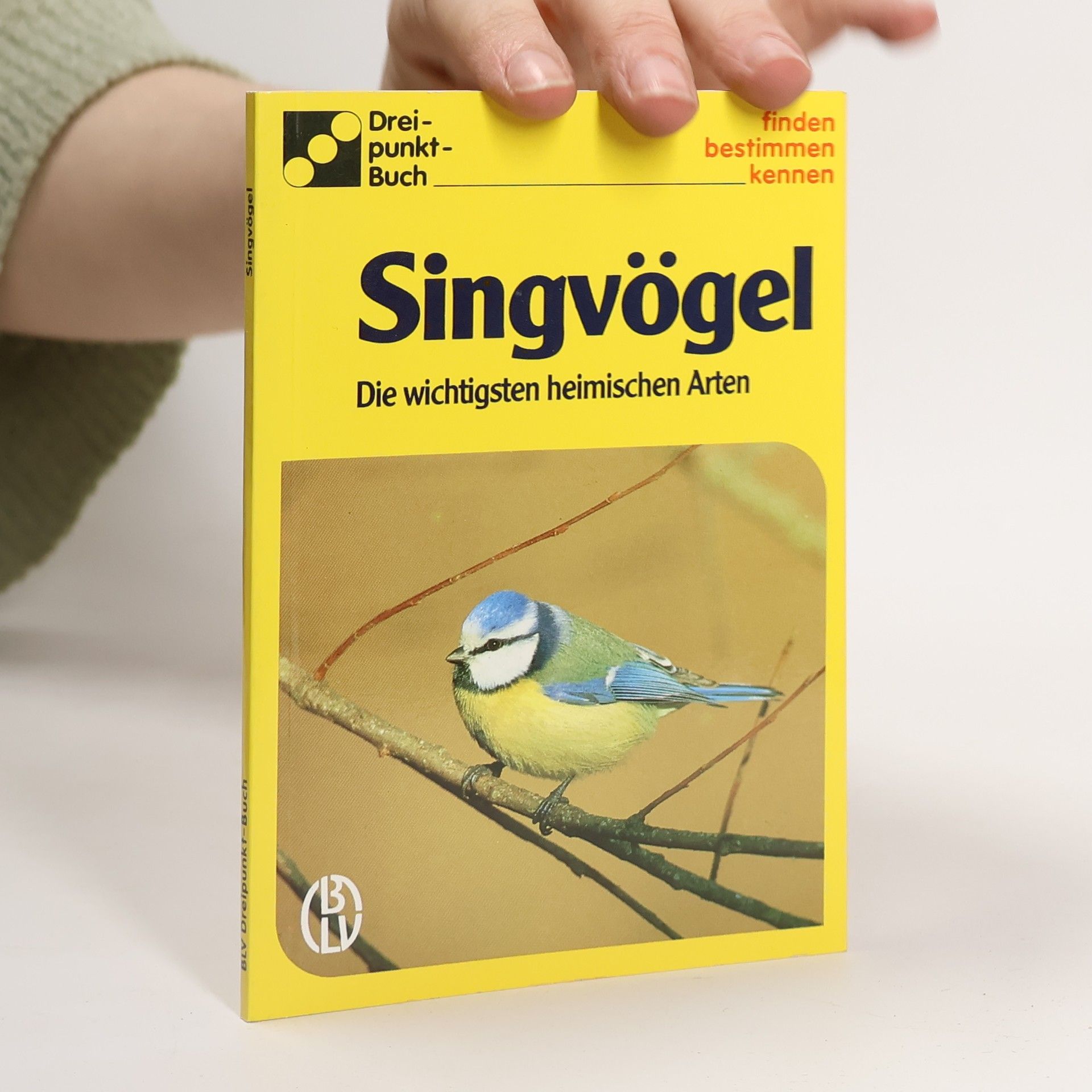 Alfred Handel Singvögel