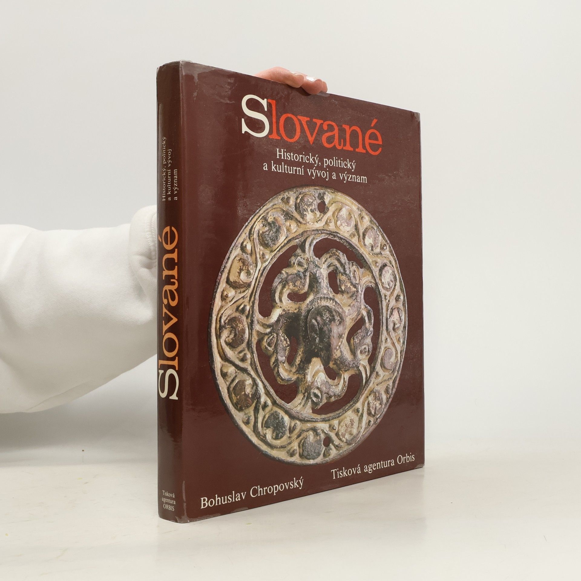 Bohuslav Chropovský Slované. Historický, politický a kulturní vývoj a význam