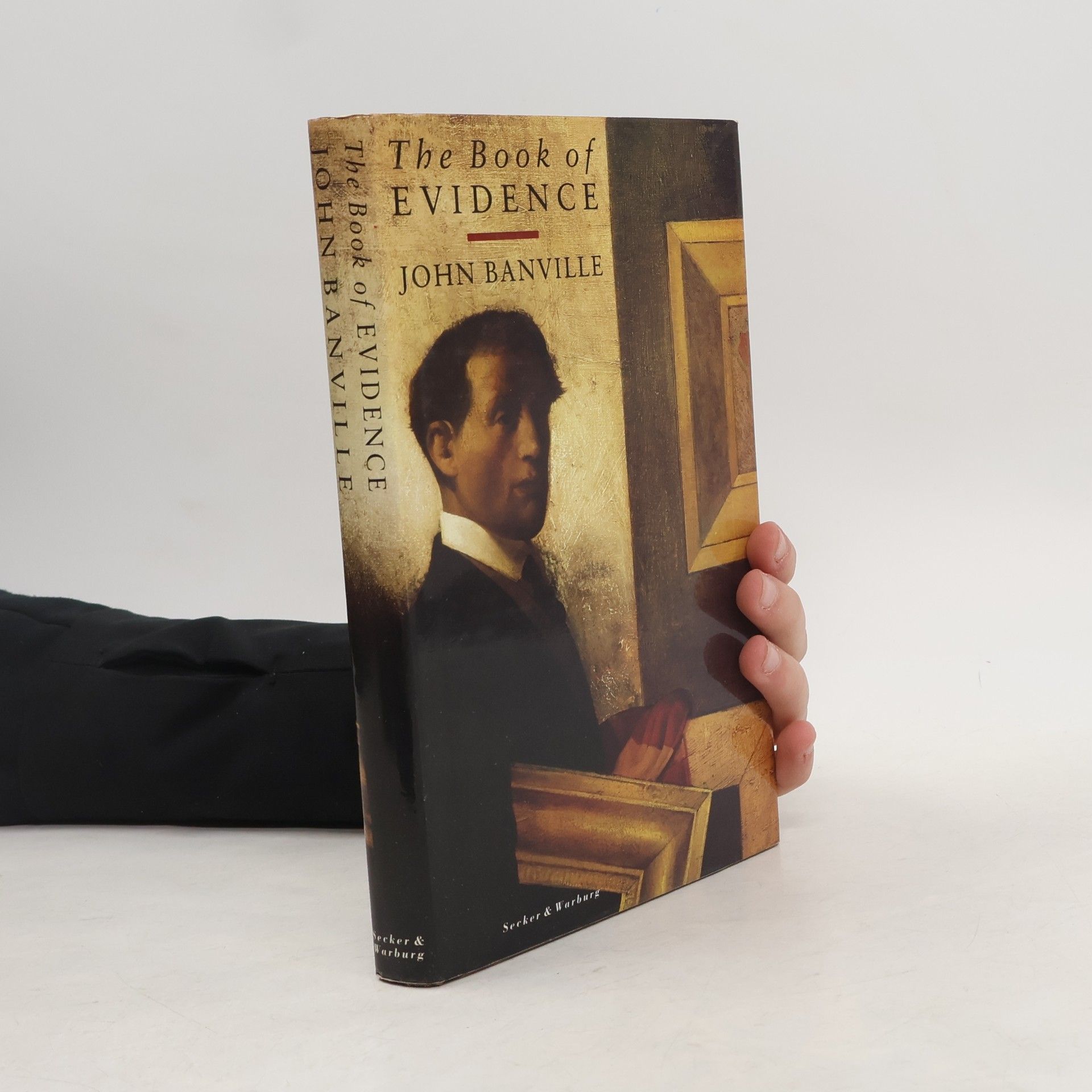 John Banville The book of evidence