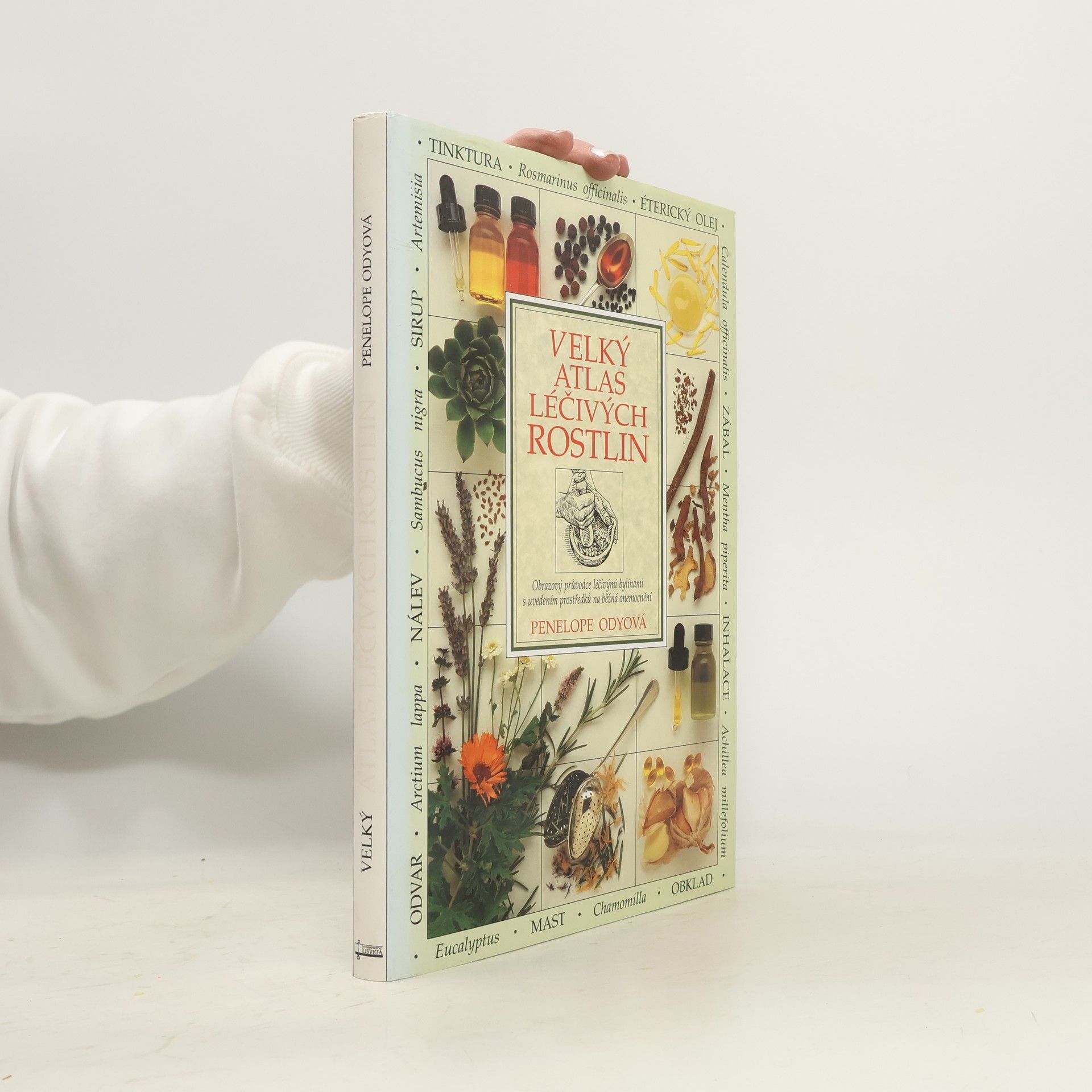 Penelope Ody Velký atlas léčivých rostlin