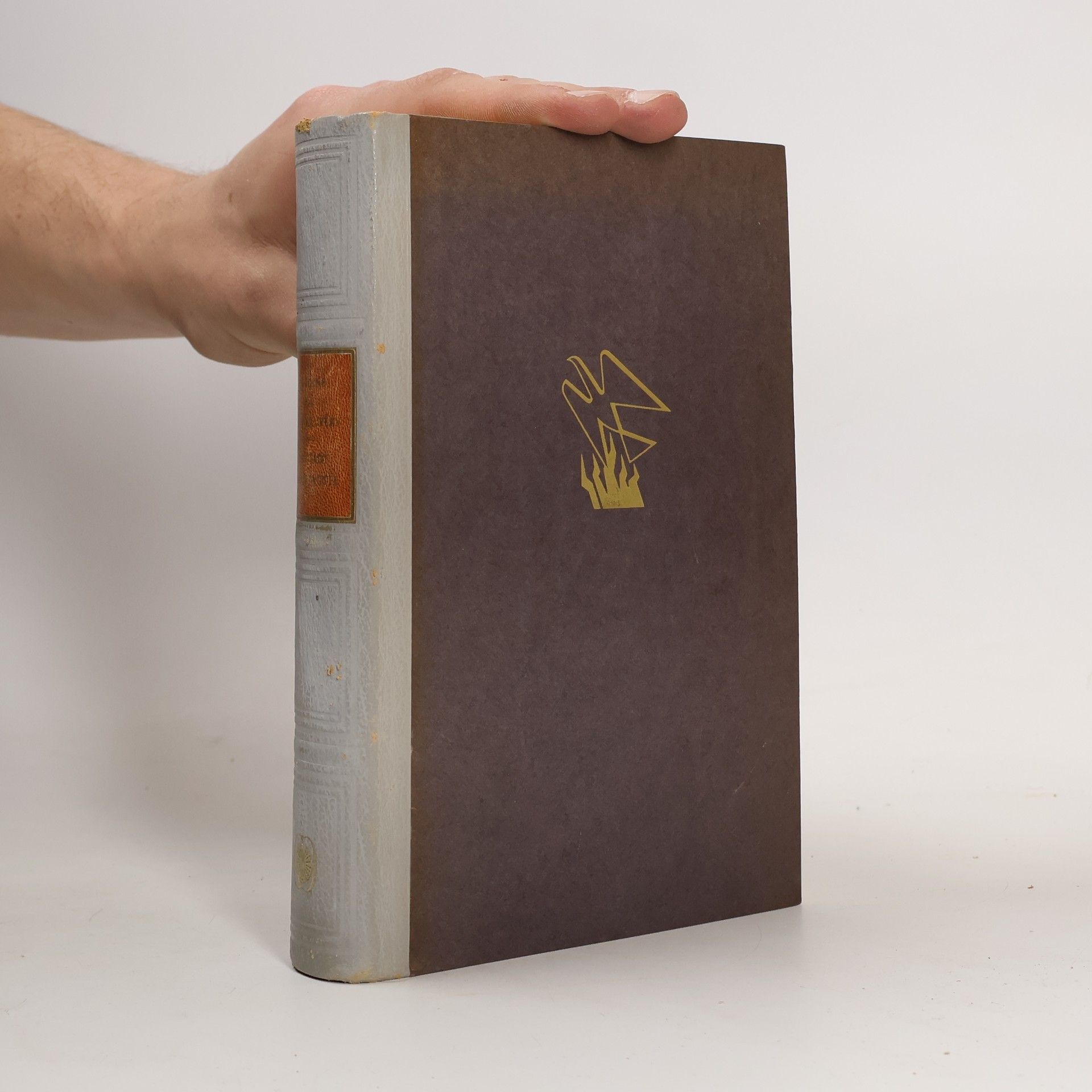 Antoine de Saint-Exupéry Die Stadt in der Wüste