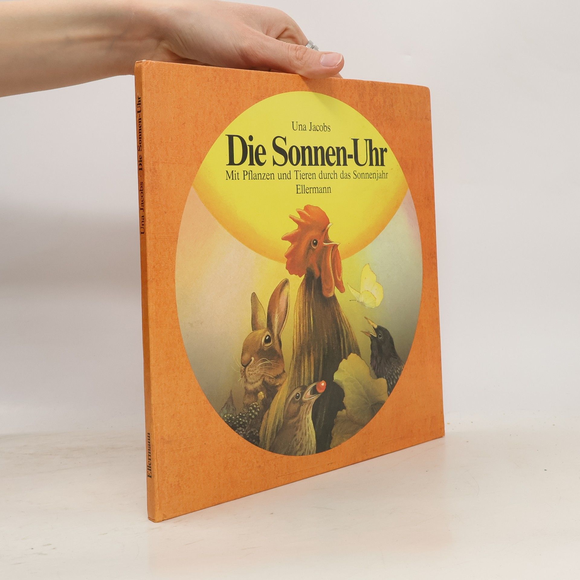 Die Sonnen-Uhr