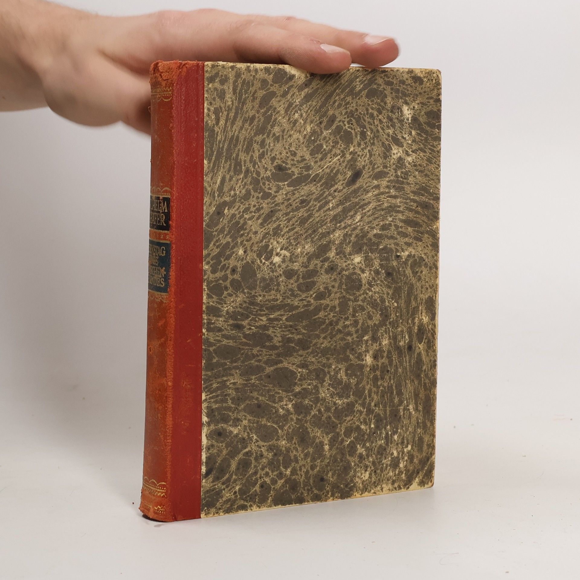 Wilhelm Schäfer Lebenstag eines Menschenfreundes