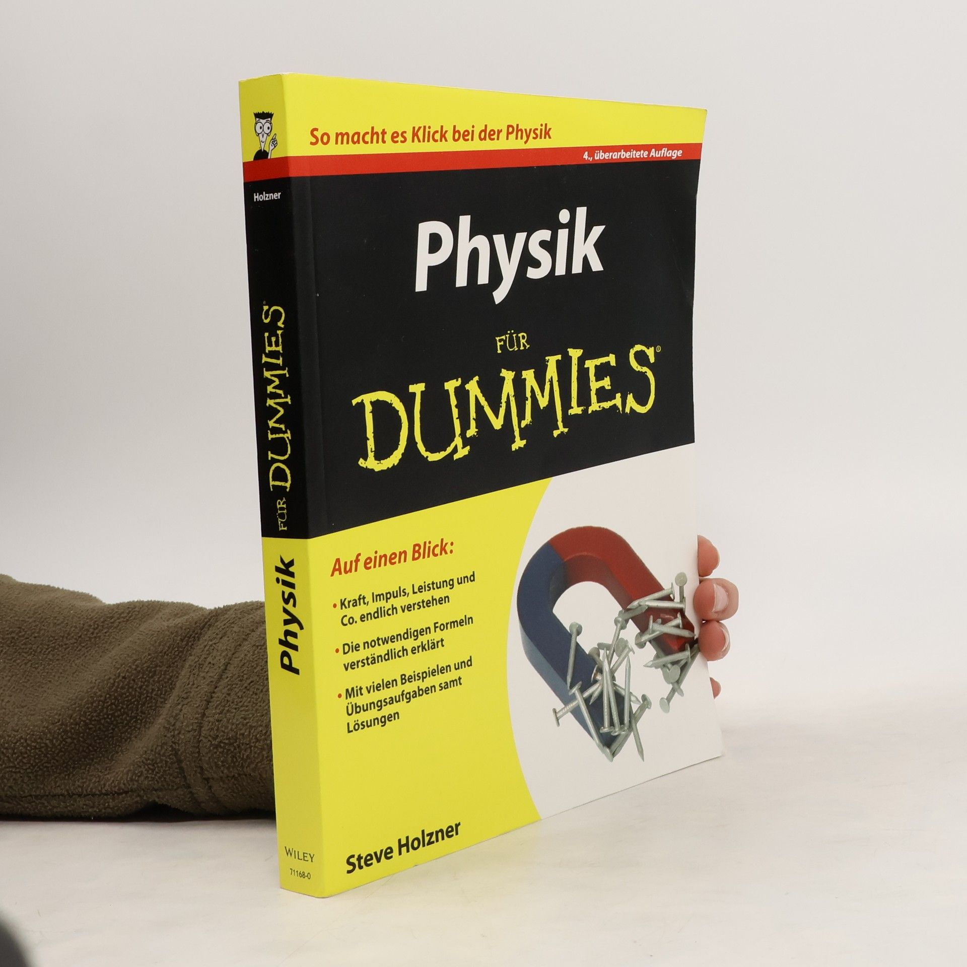 Steven Holzner Physik für Dummies