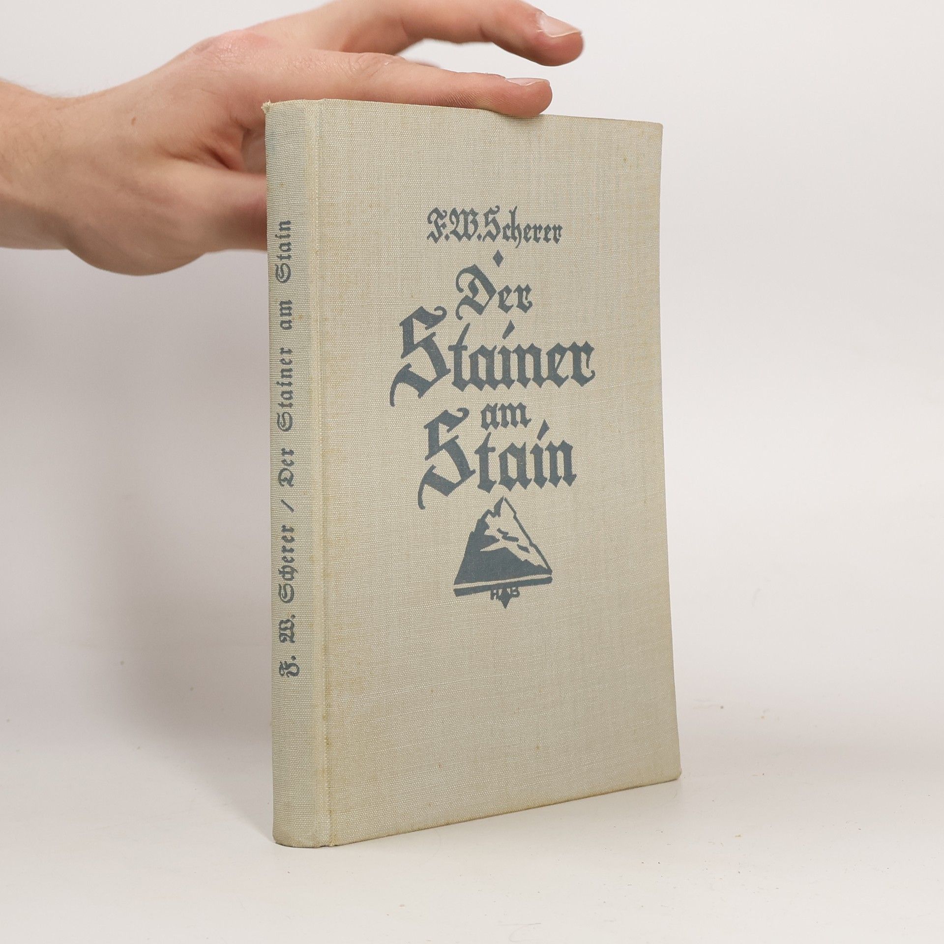 Franz Wolfram Scherer  Der Stainer am Stain