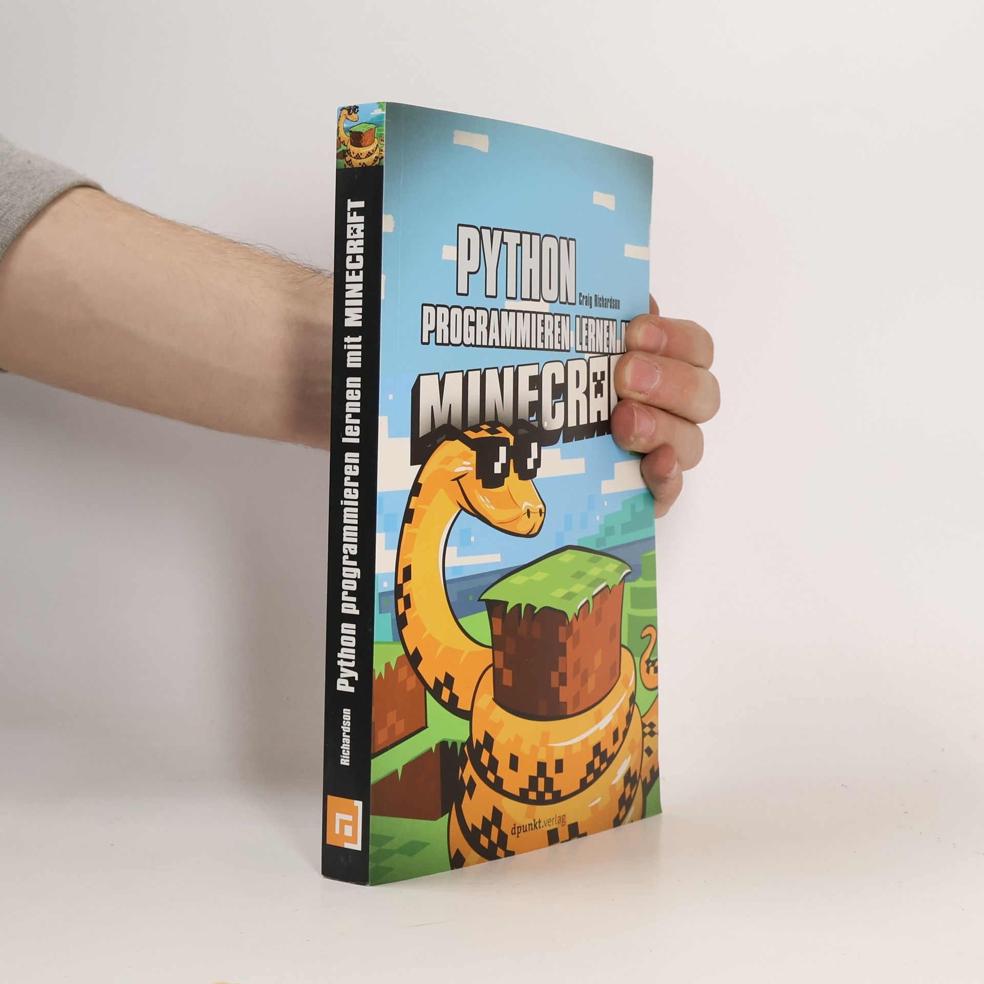 Python programmieren lernen mit Minecraft