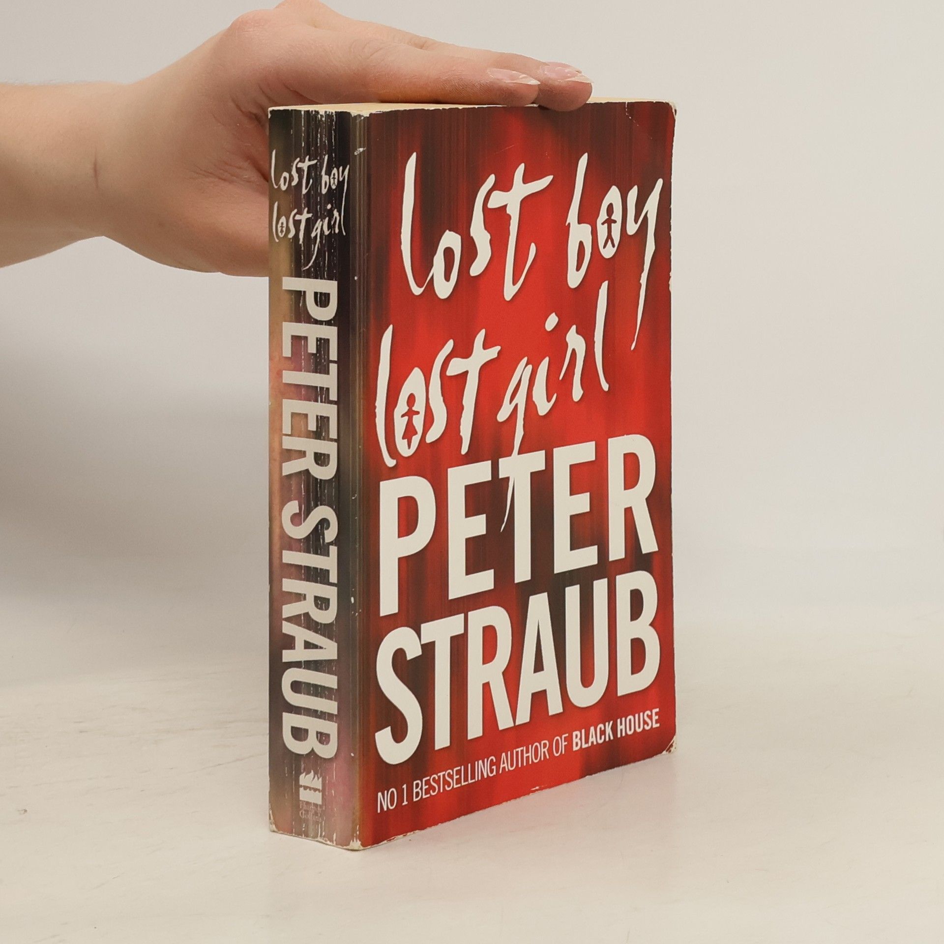Peter Straub Lost Boy Lost Girl