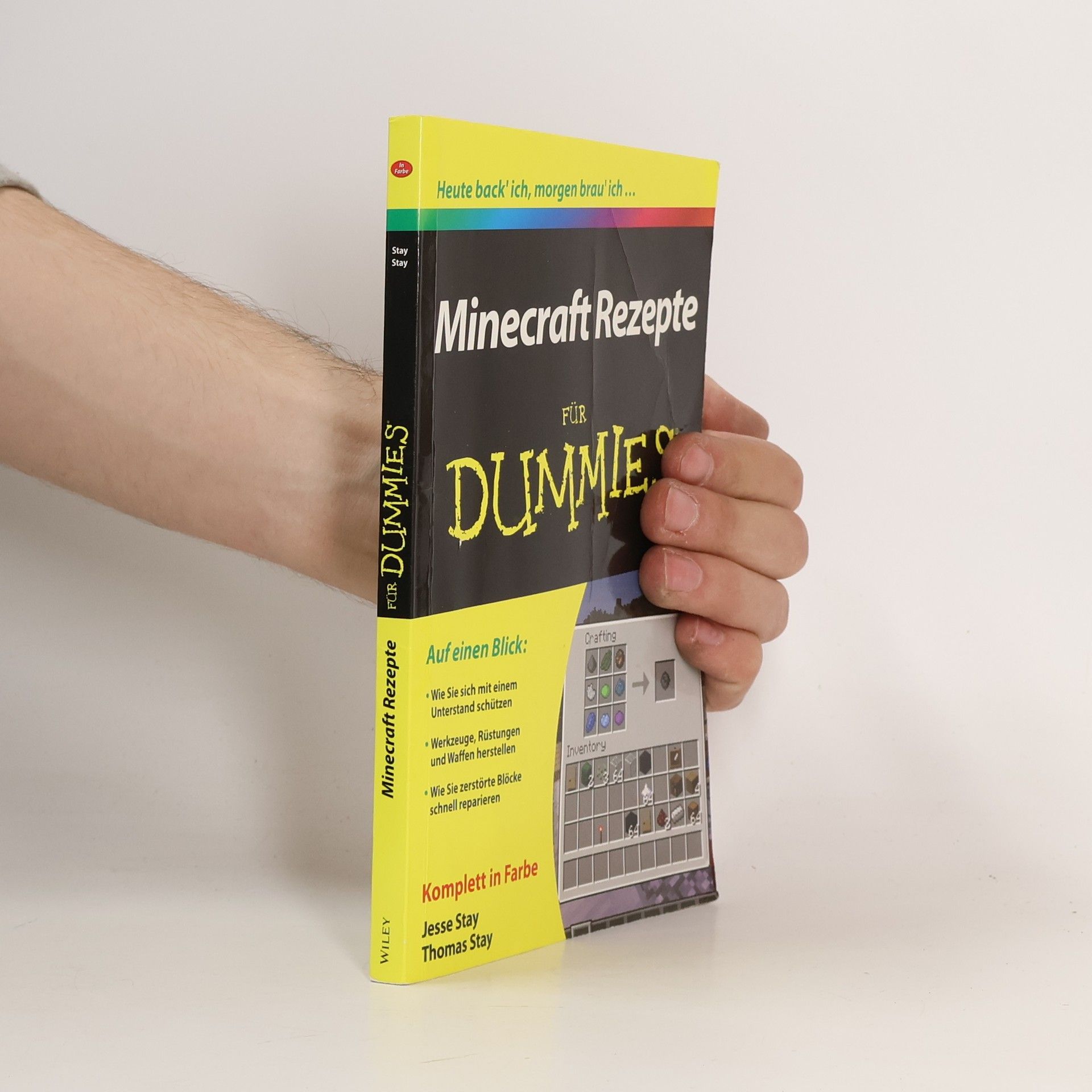 Jesse Stay Minecraft Rezepte für Dummies - Komplett in Farbe
