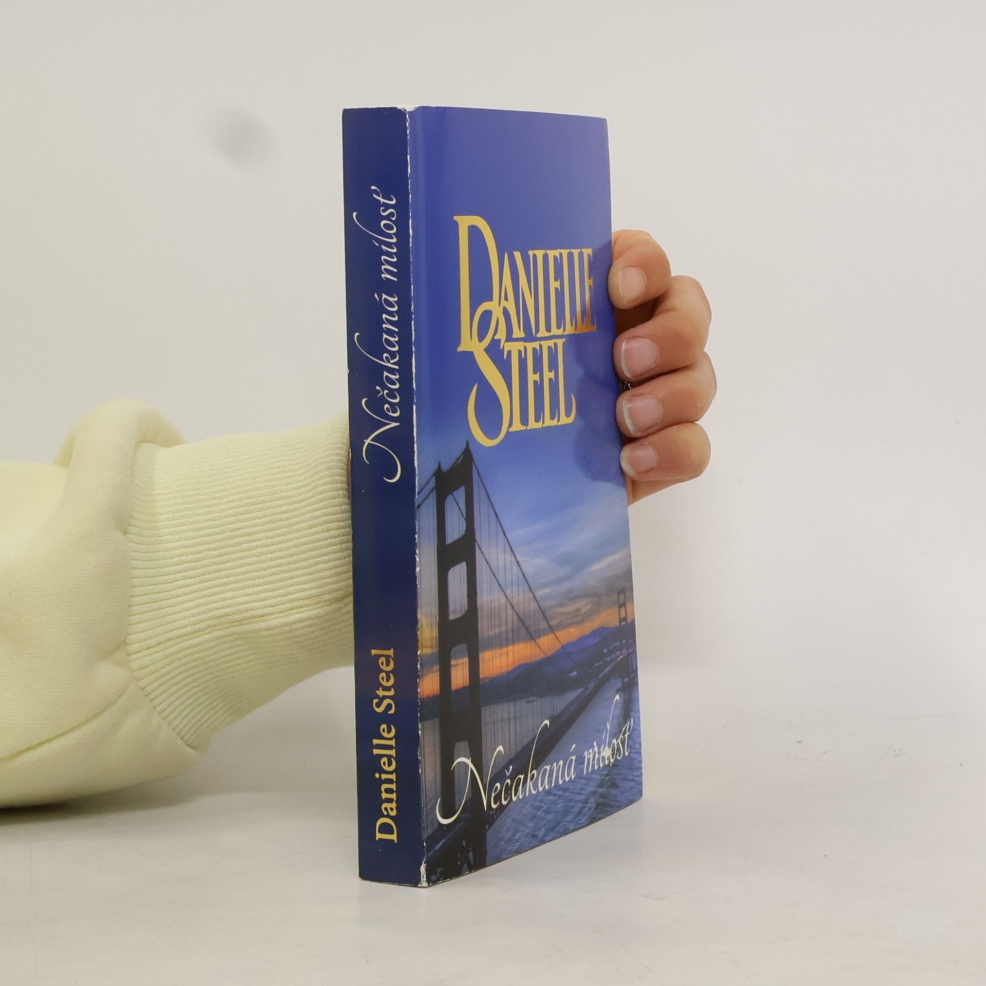 Danielle Steel Nečakaná mílosť
