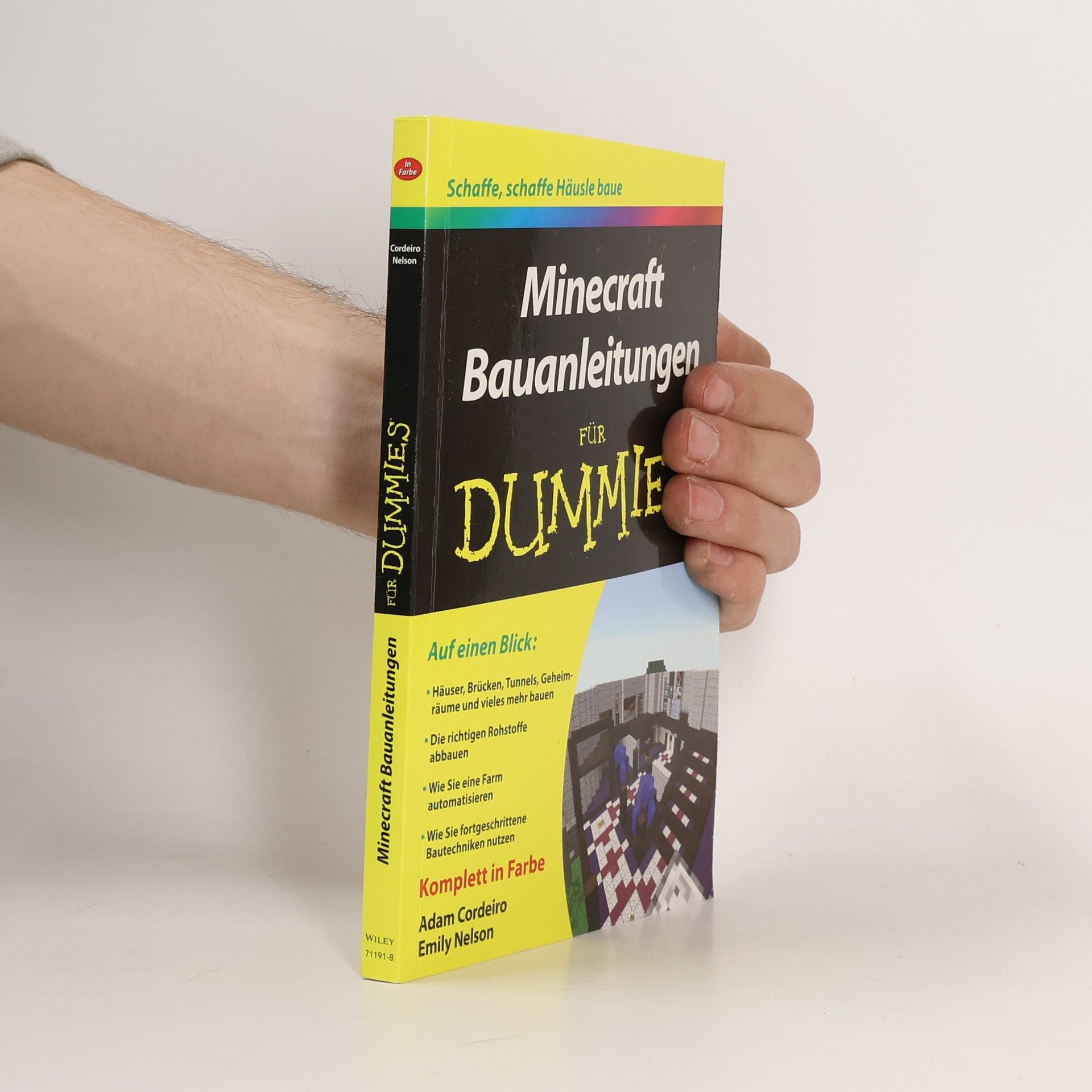 Adam Cordeiro Minecraft Bauanleitungen für Dummies