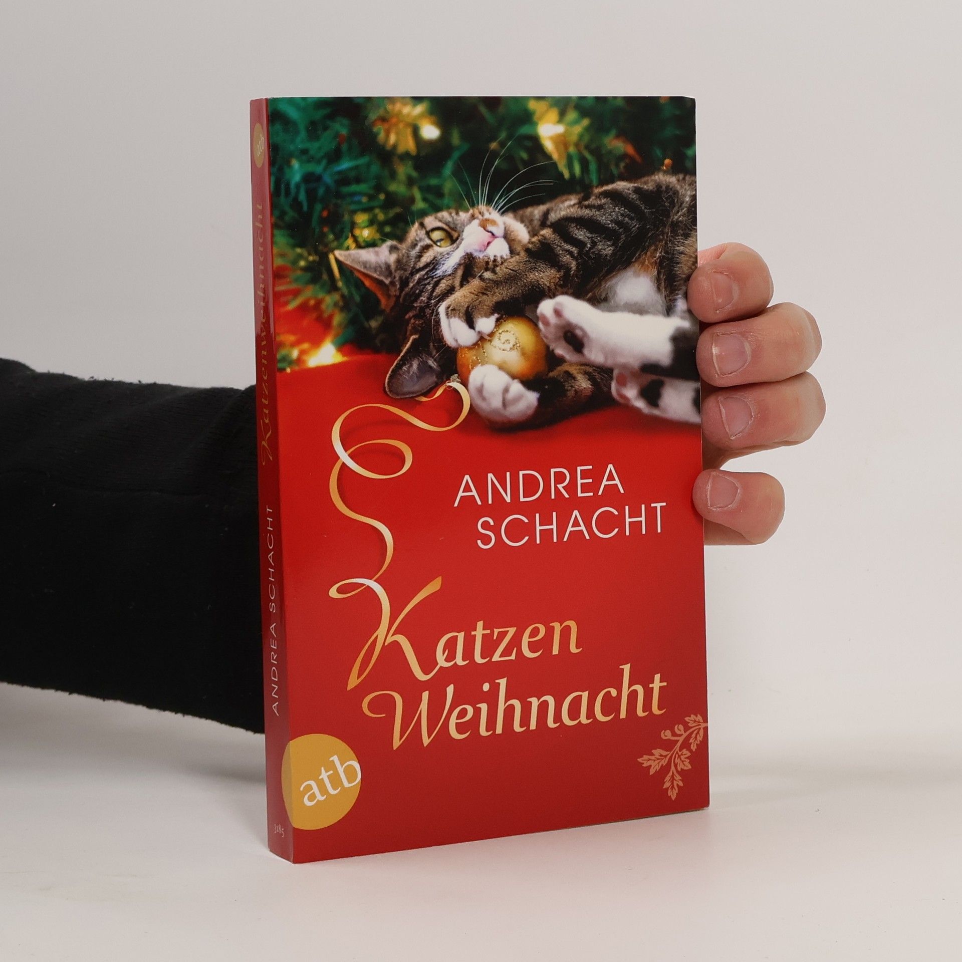 Andrea Schacht Katzen-Weihnacht