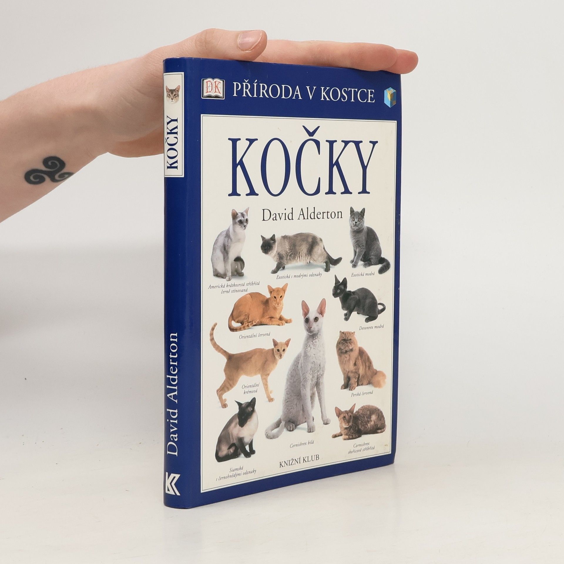 David Alderton Kočky