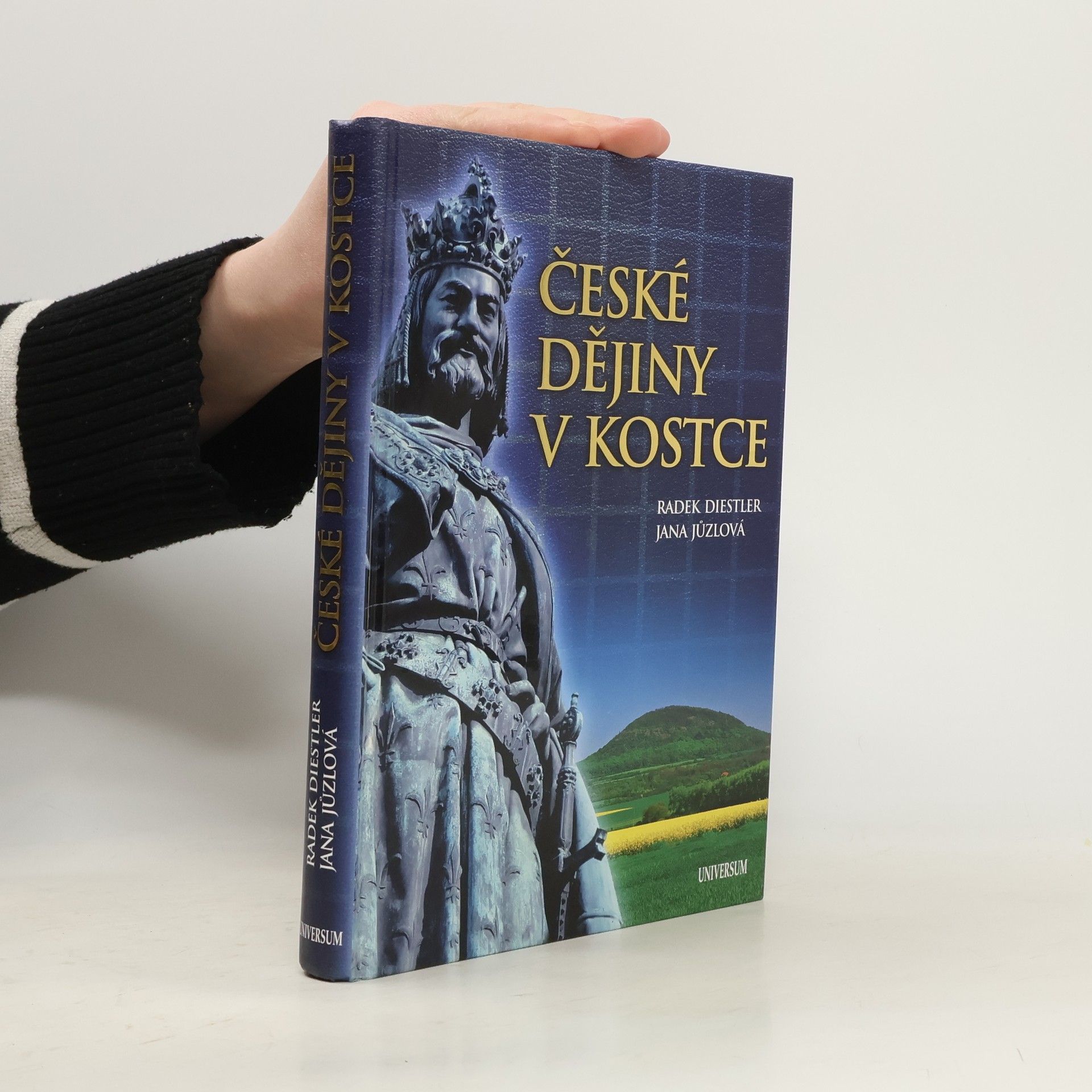 Radek Diestler České dějiny v kostce