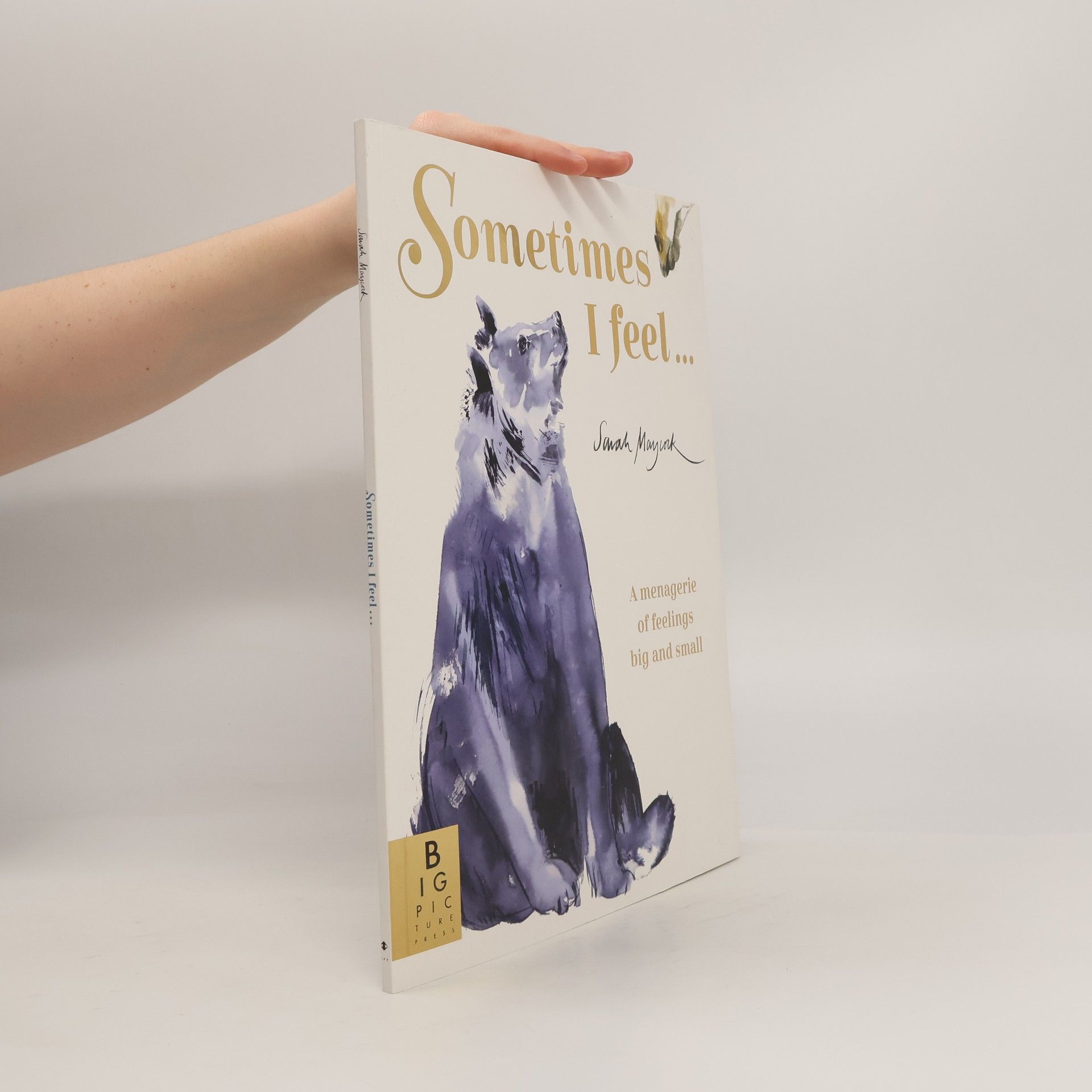 Sarah Maycock Sometimes I Feel...