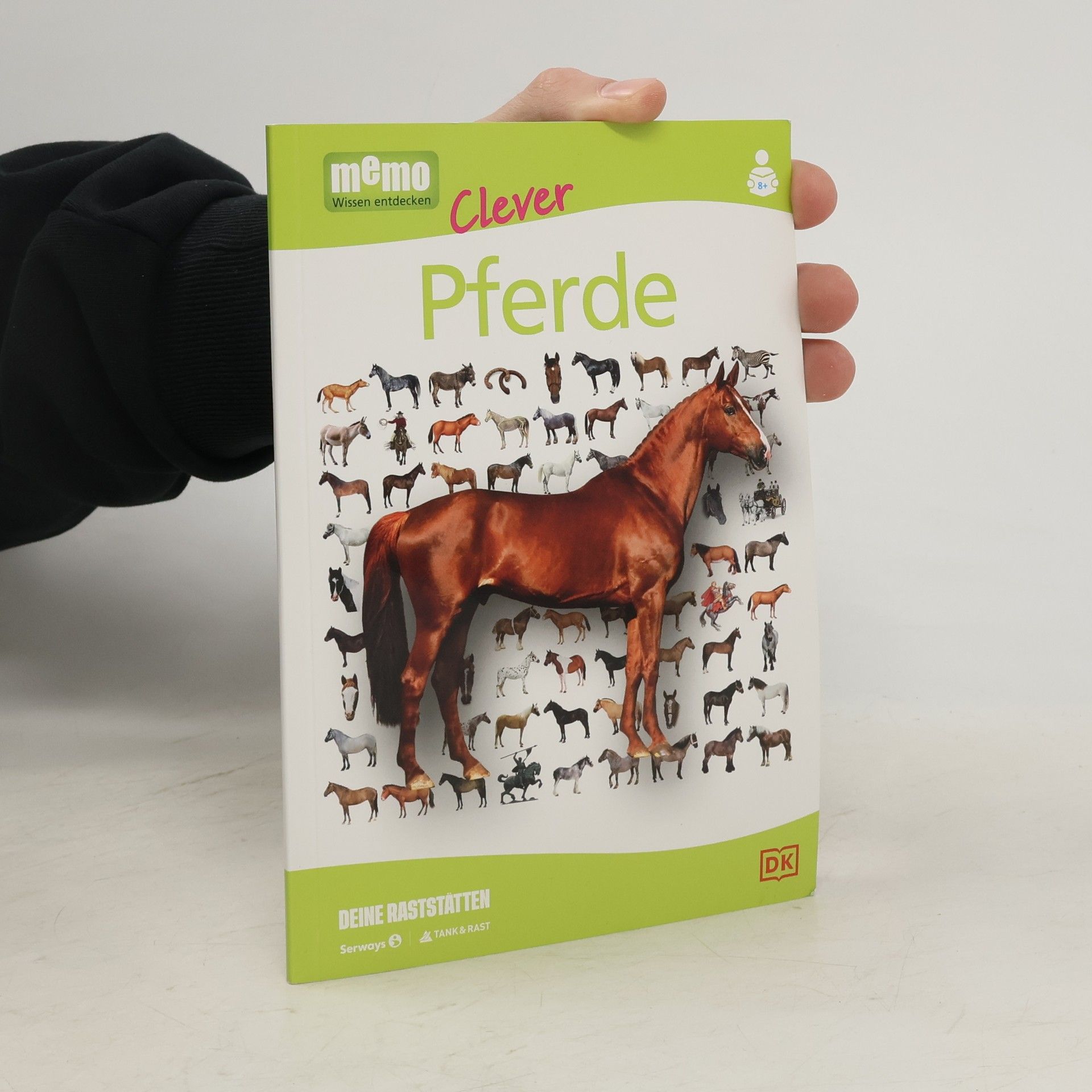 Caroline Stamps Pferde und Ponys