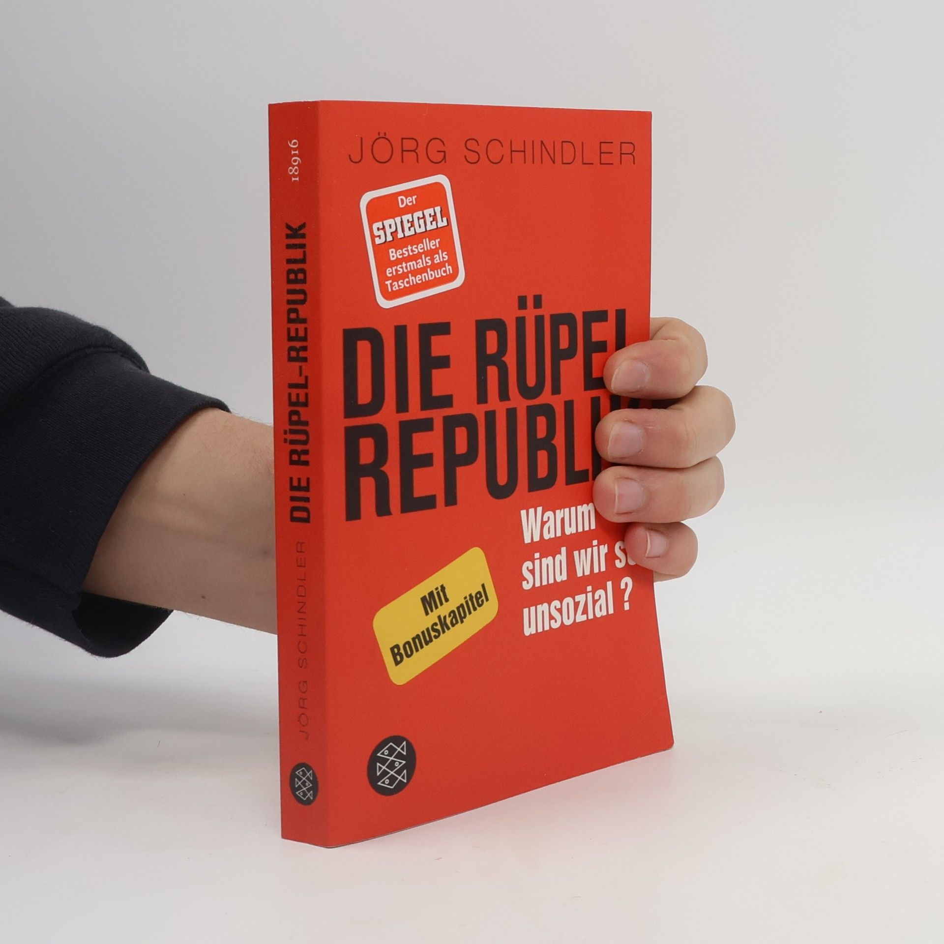 Jörg Schindler-Schwabedissen Die Rüpel-Republik