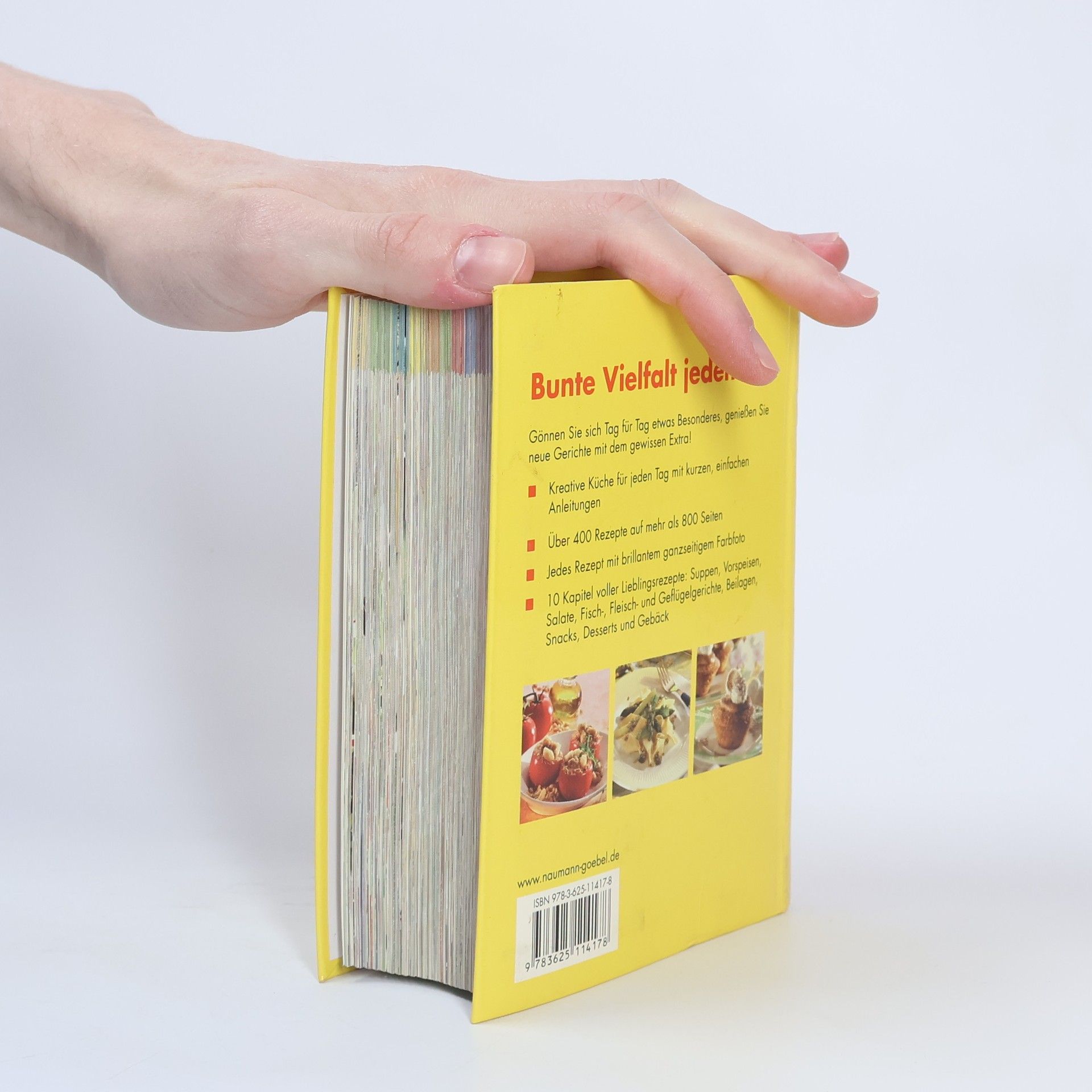 Das kleine dicke Kochbuch