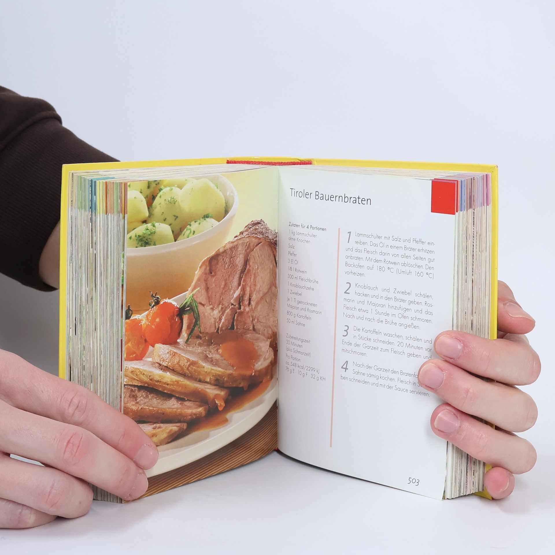 Das kleine dicke Kochbuch