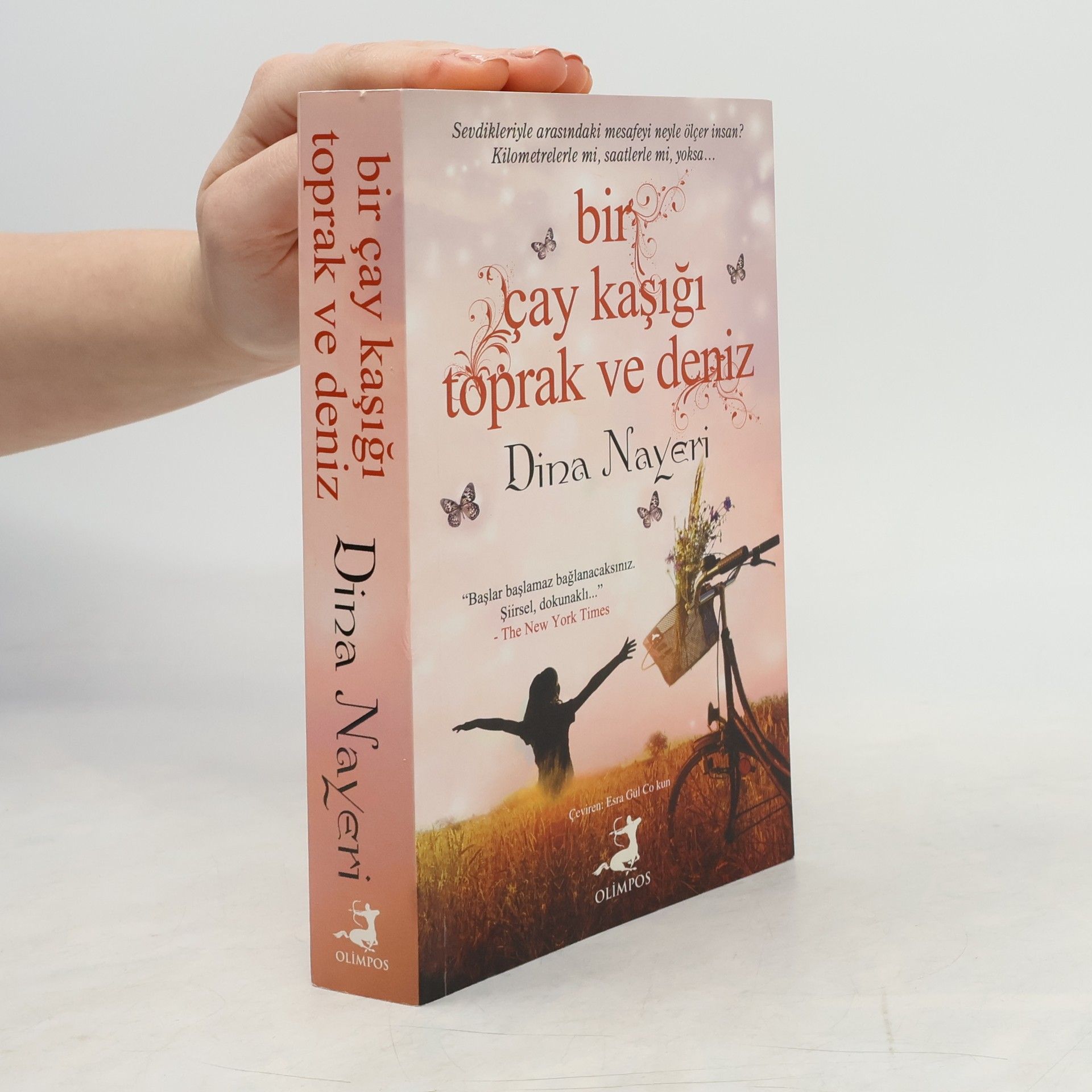 Dina Nayeri Bir çay kaşığı toprak ve deniz