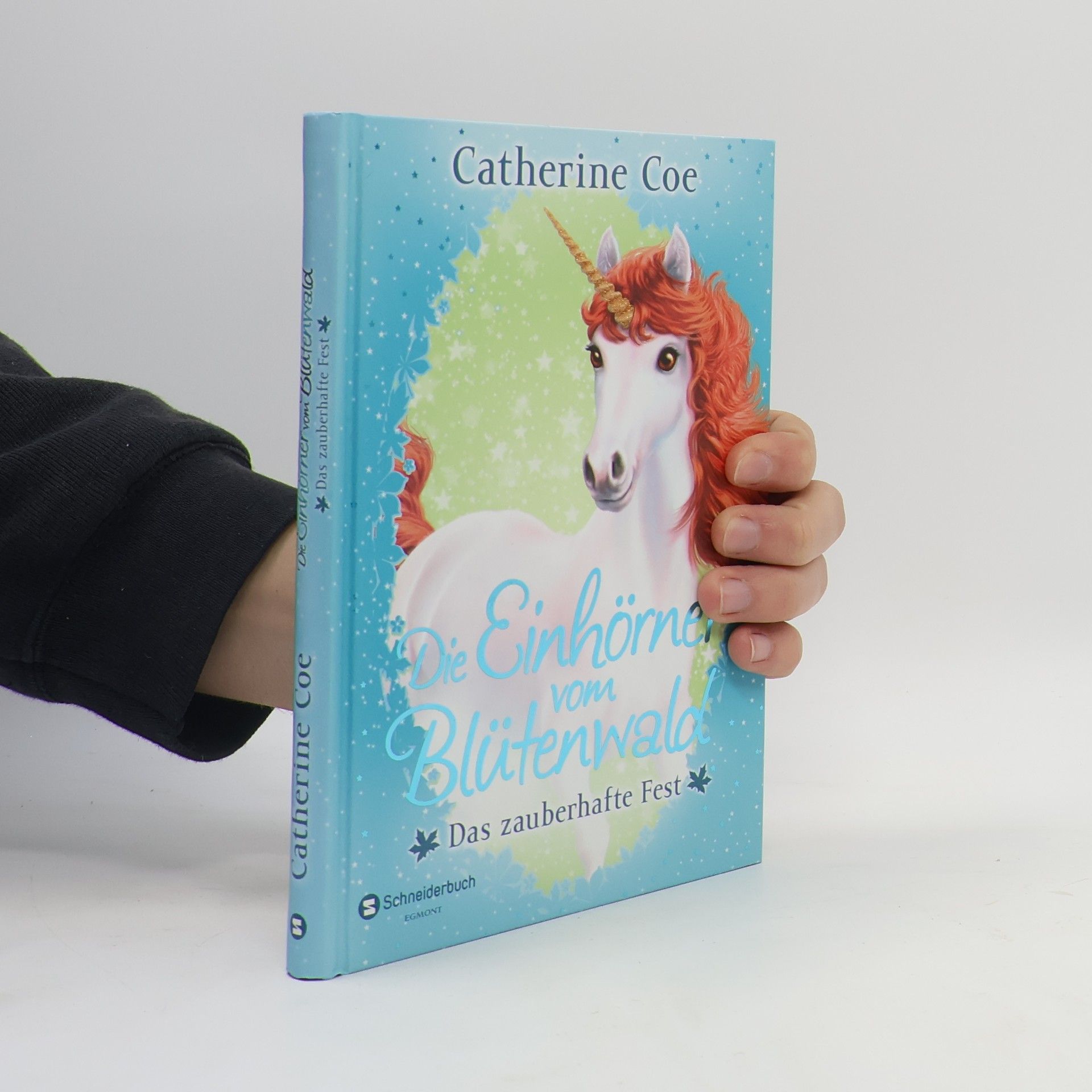 Catherine Coe Das zauberhafte Fest