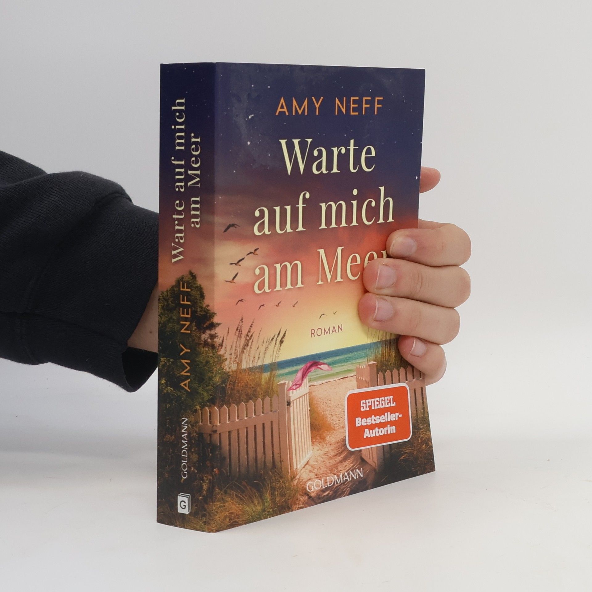 Amy Neff Warte auf mich am Meer