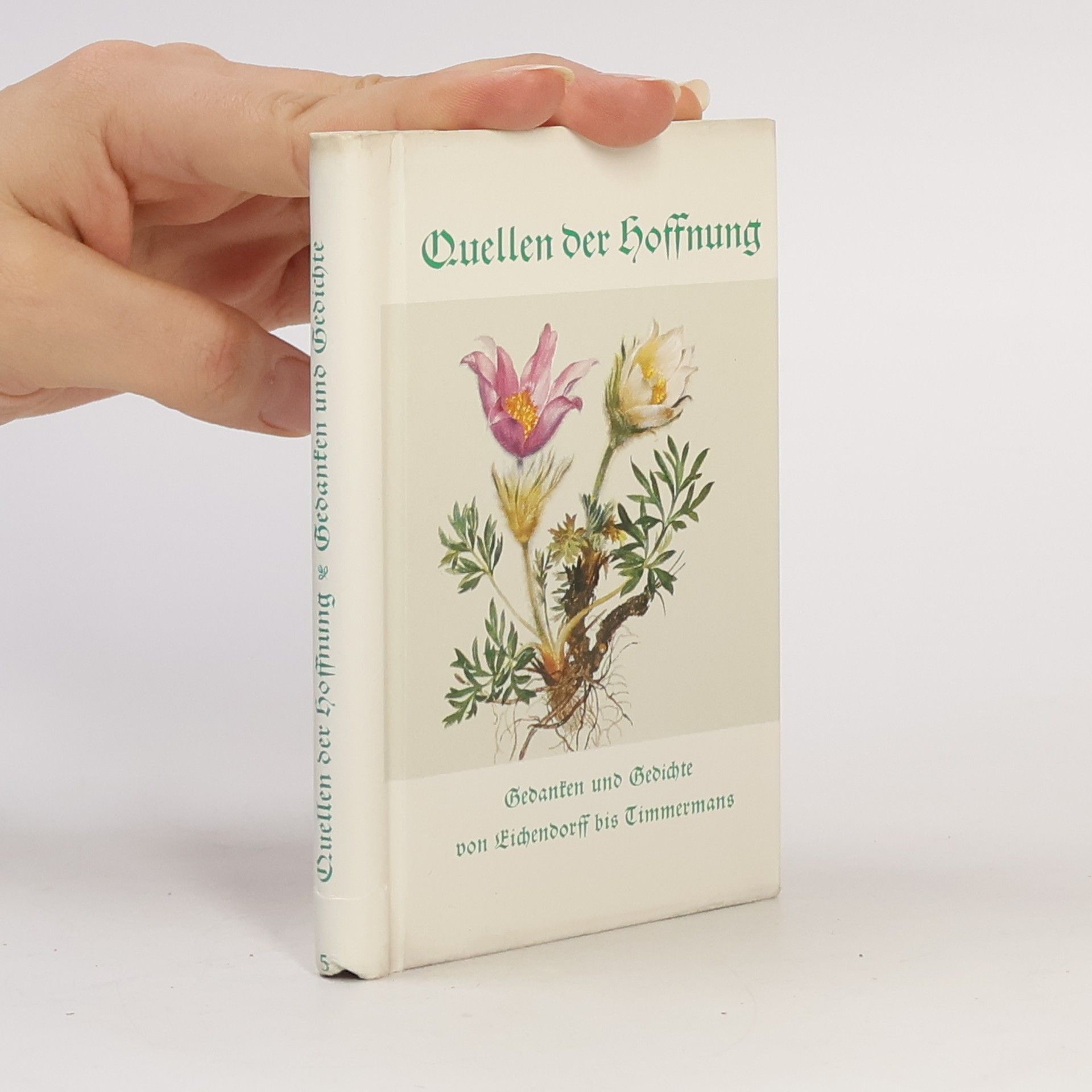 Eugen Hettinger Quellen der Hoffnung