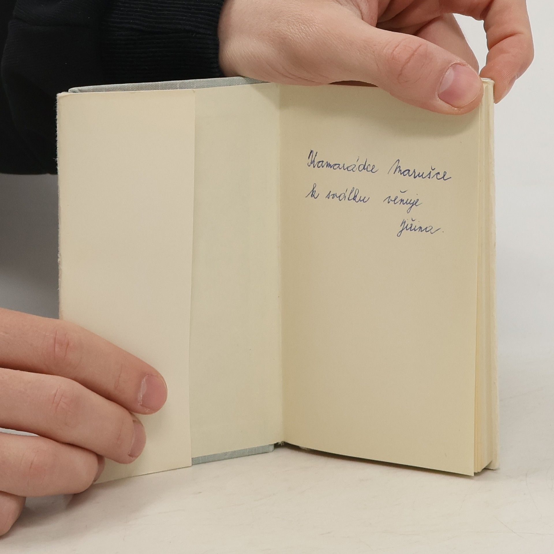 Romain Rolland Petr a Lucie