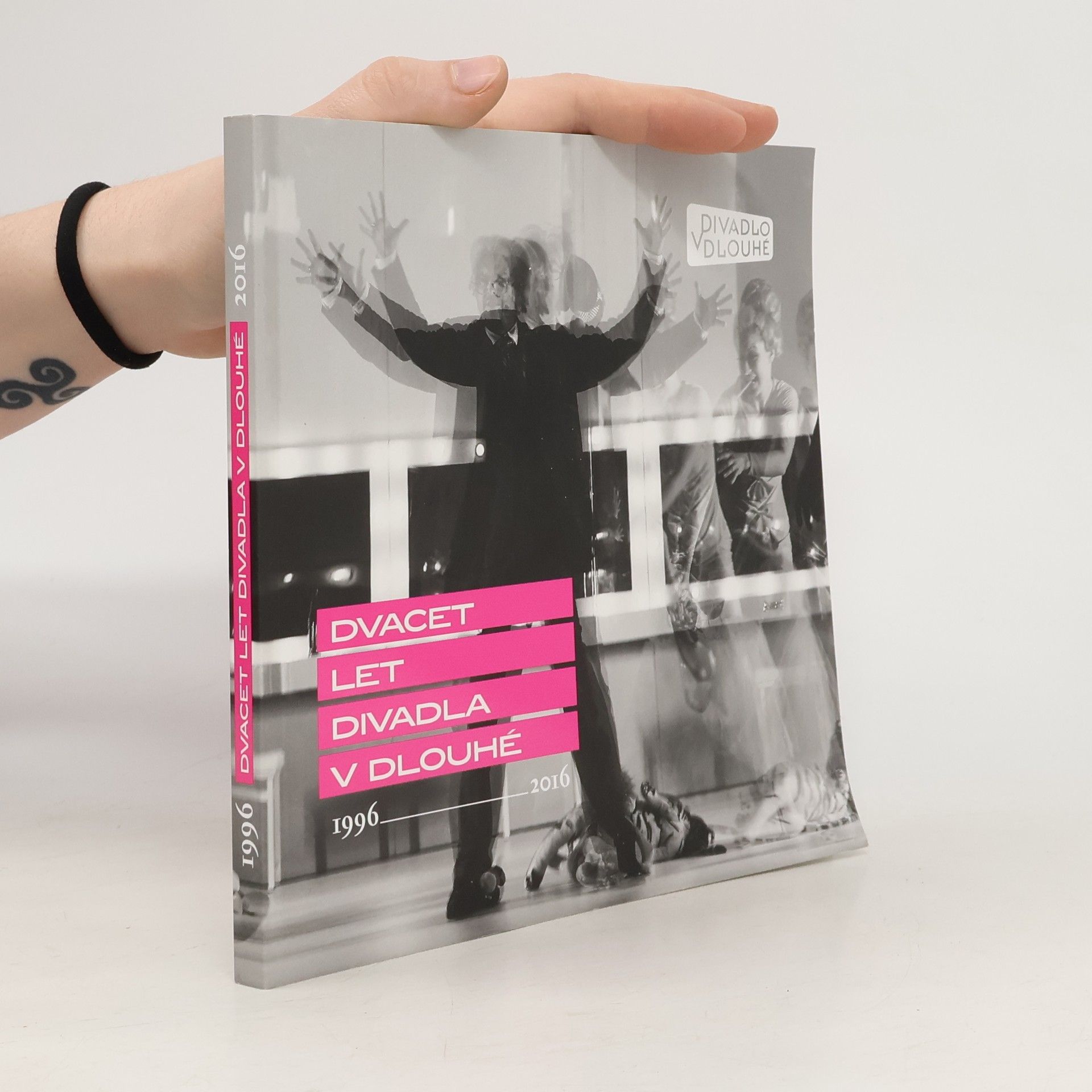 Autorenkollektiv Dvacet let Divadla v Dlouhé 1996-2016