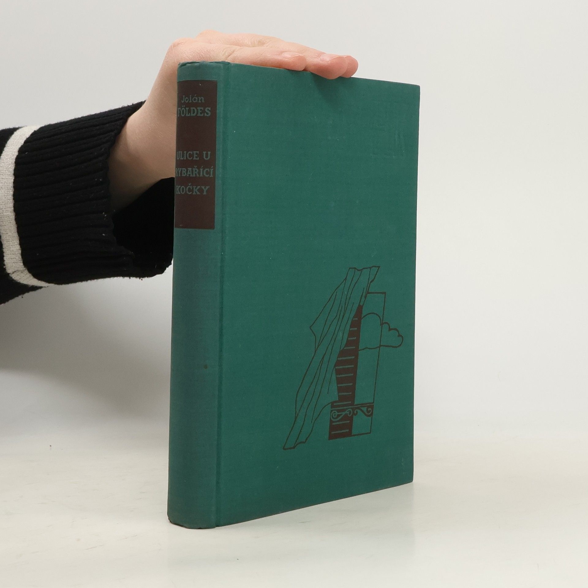 Ulice u rybařící kočky