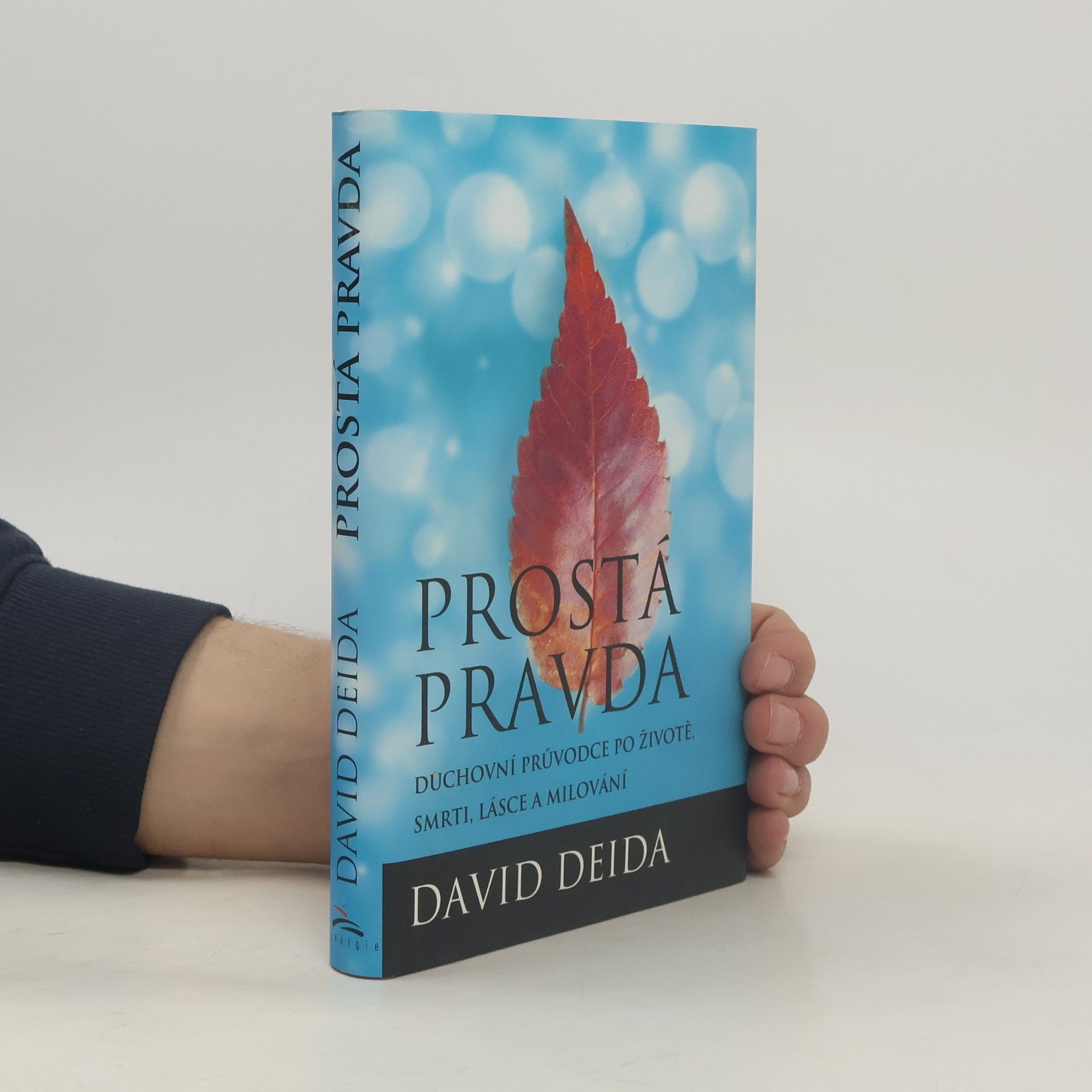 David Deida Prostá pravda