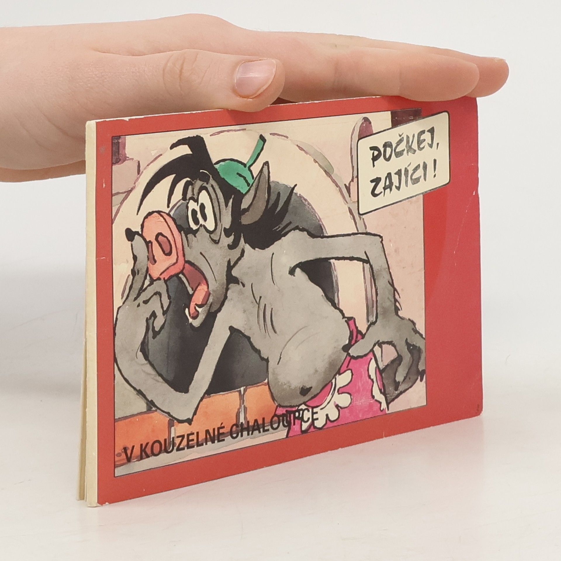 V. M. Koťonočkin Počkej, zajíci! V kouzelné chaloupce