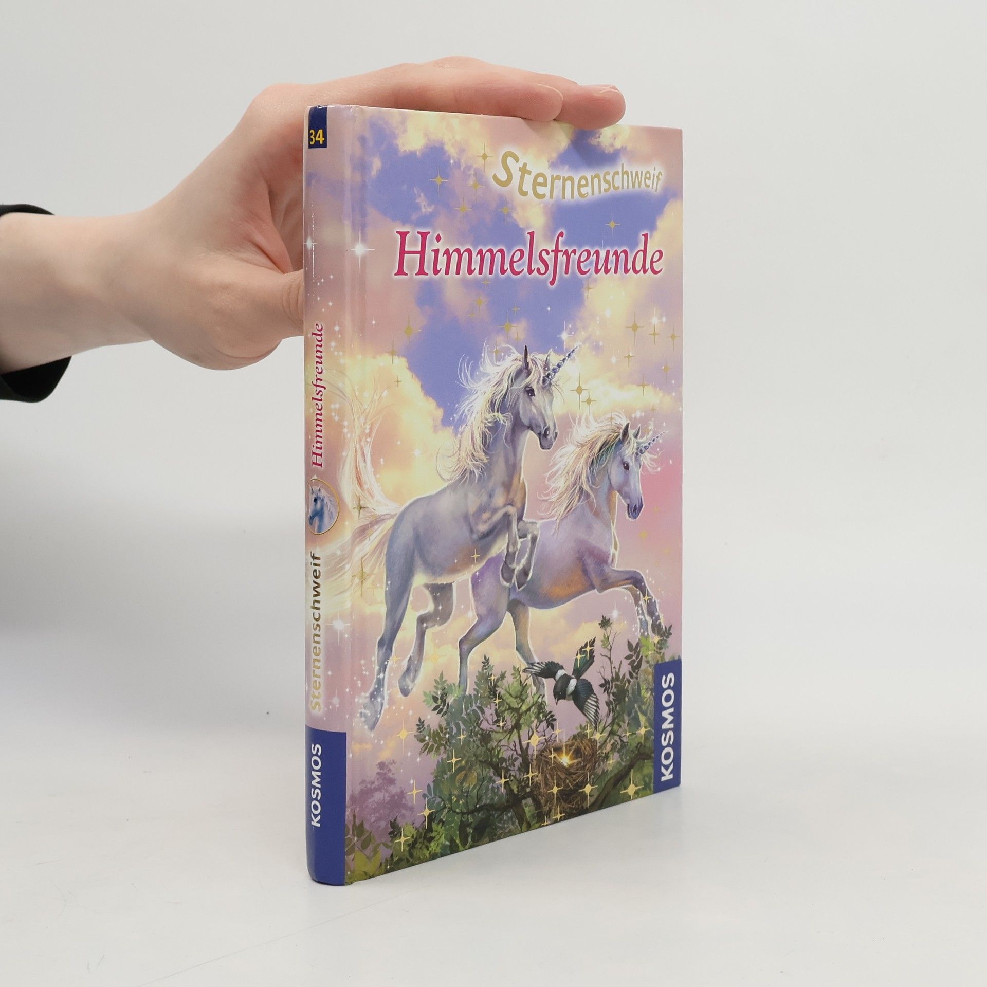 Ulrike Leistenschneider Himmelsfreunde