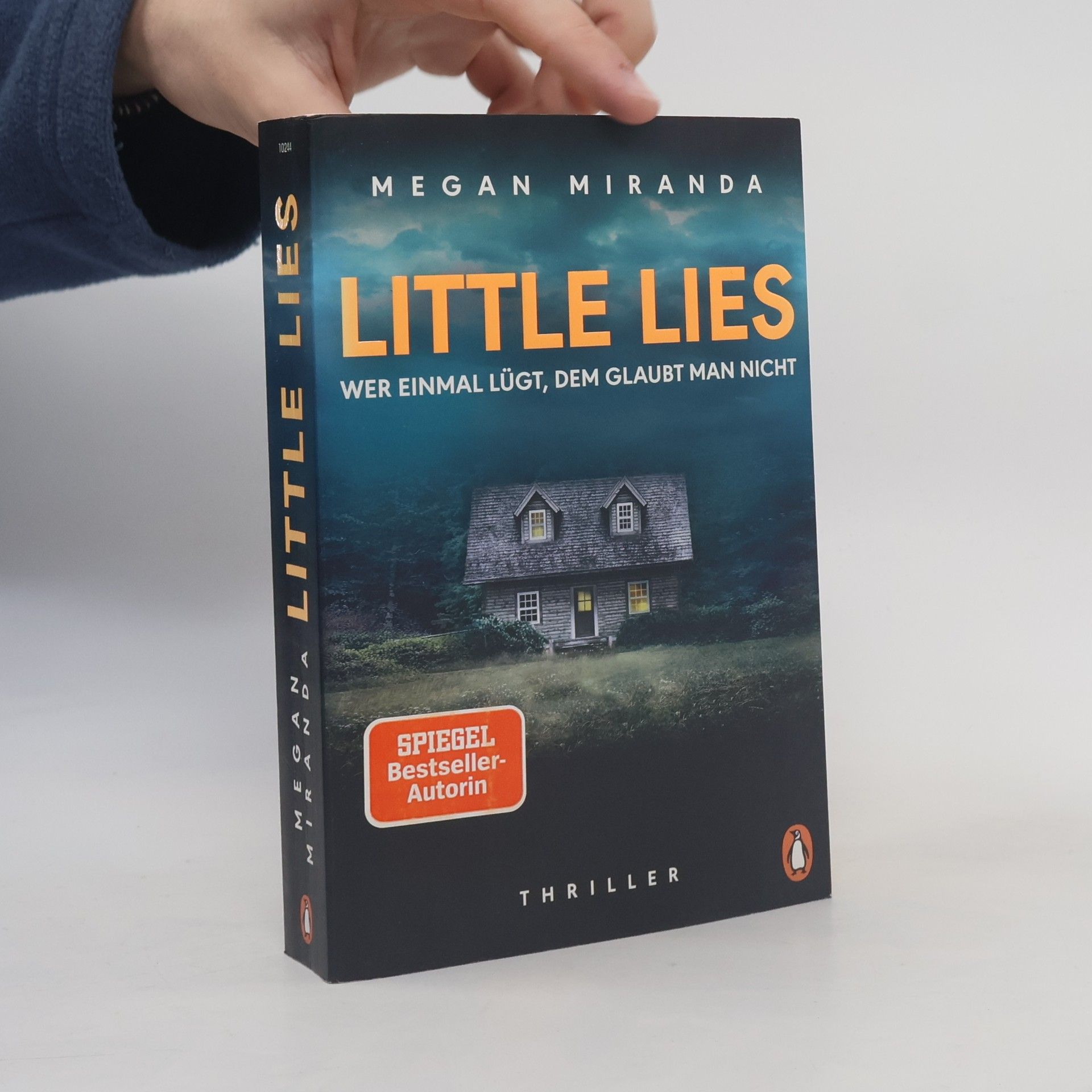 Megan Miranda LITTLE LIES – Wer einmal lügt, dem glaubt man nicht