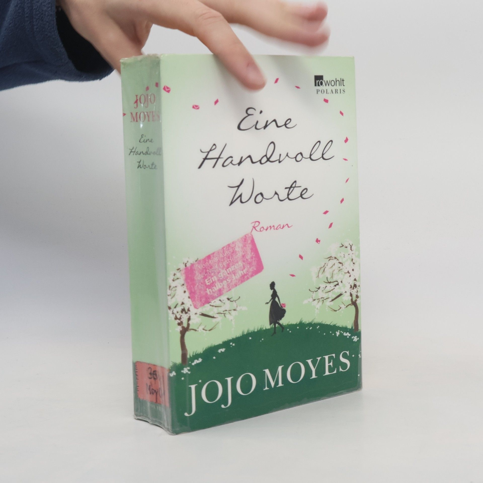 Jojo Moyesová Eine Handvoll Worte