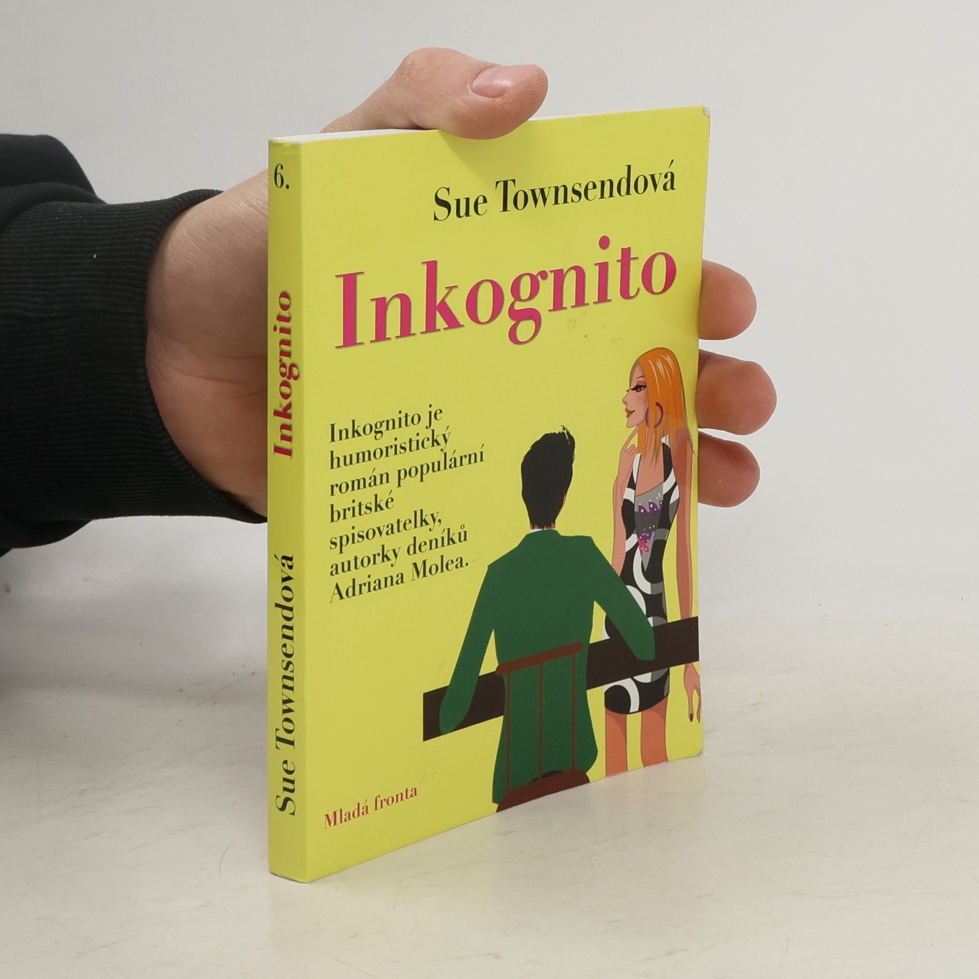 Sue Townsend Inkognito