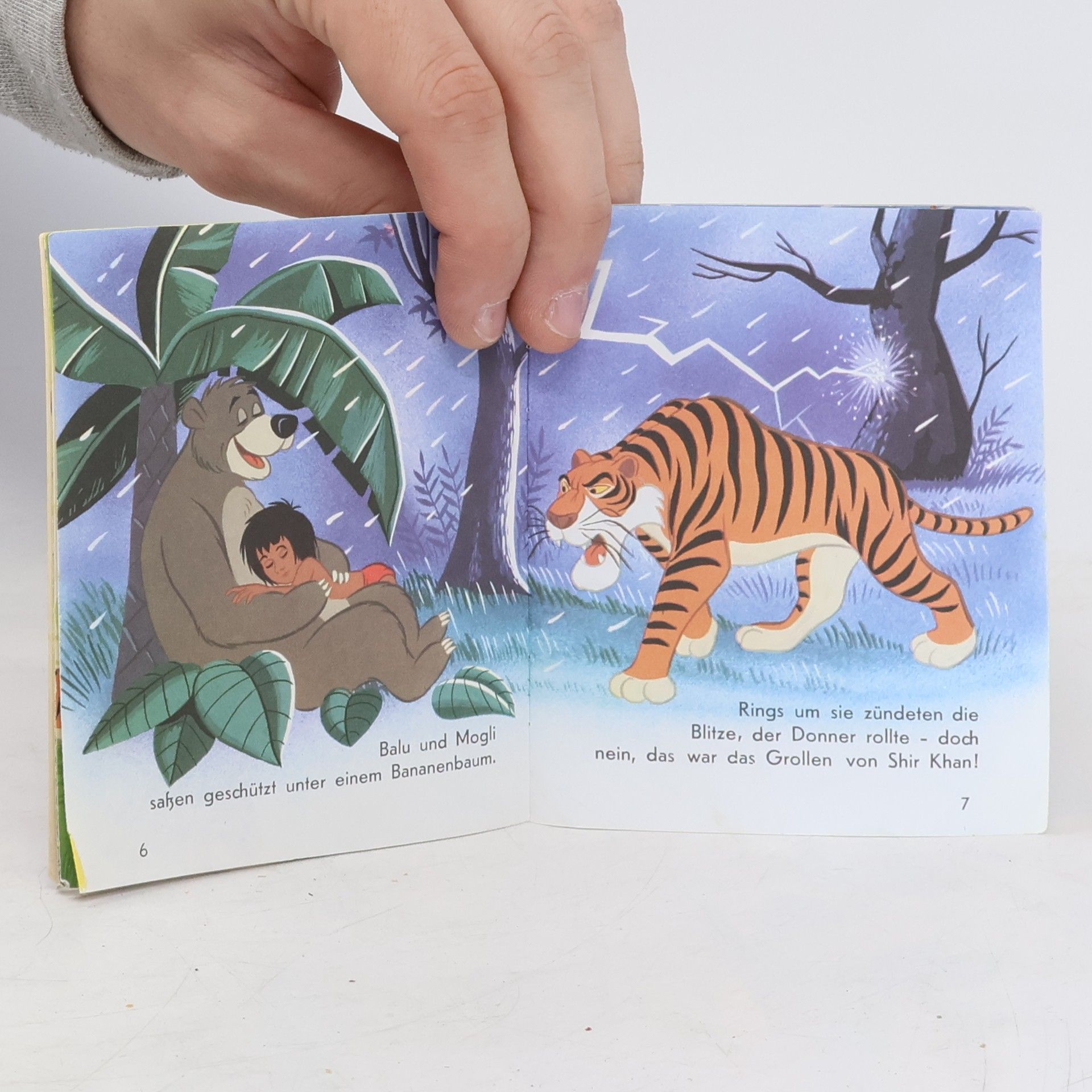 kolektiv Mogli und Shir Khan, der Tiger