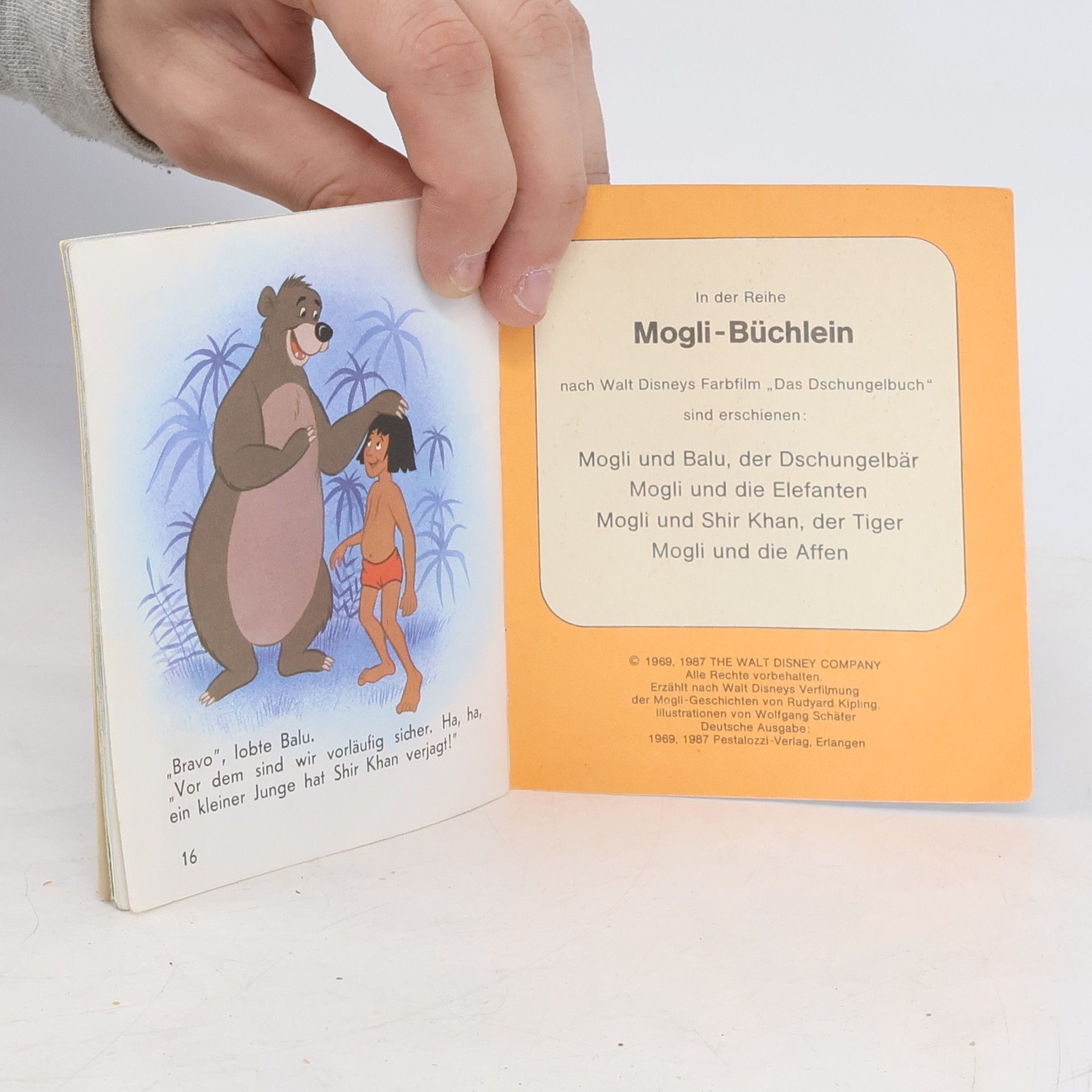 kolektiv Mogli und Shir Khan, der Tiger