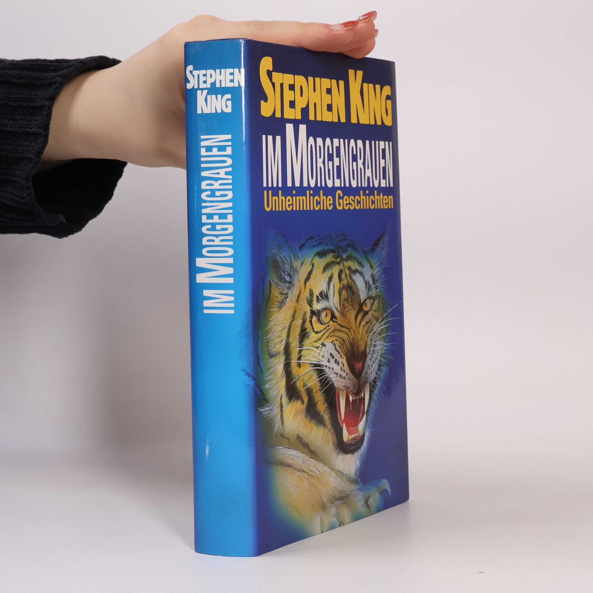 Stephen King Im Morgengrauen