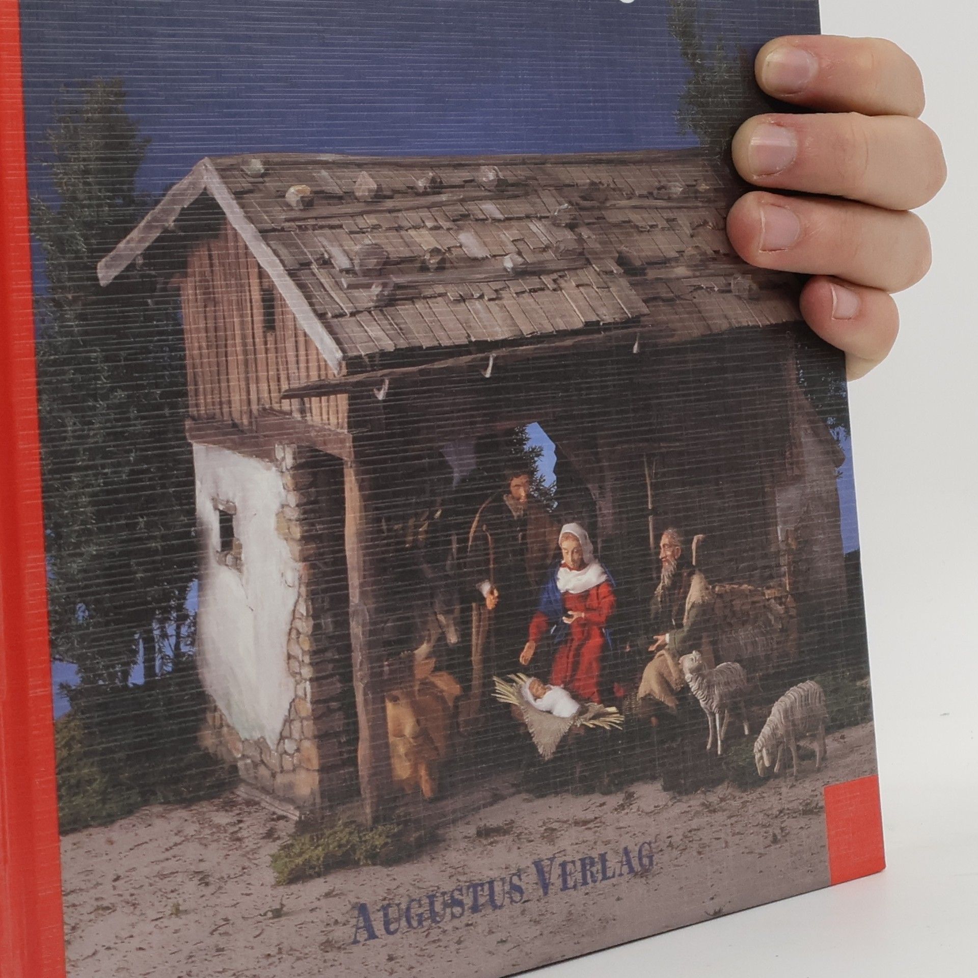 Peter Riolini Krippen schauen - Krippen bauen