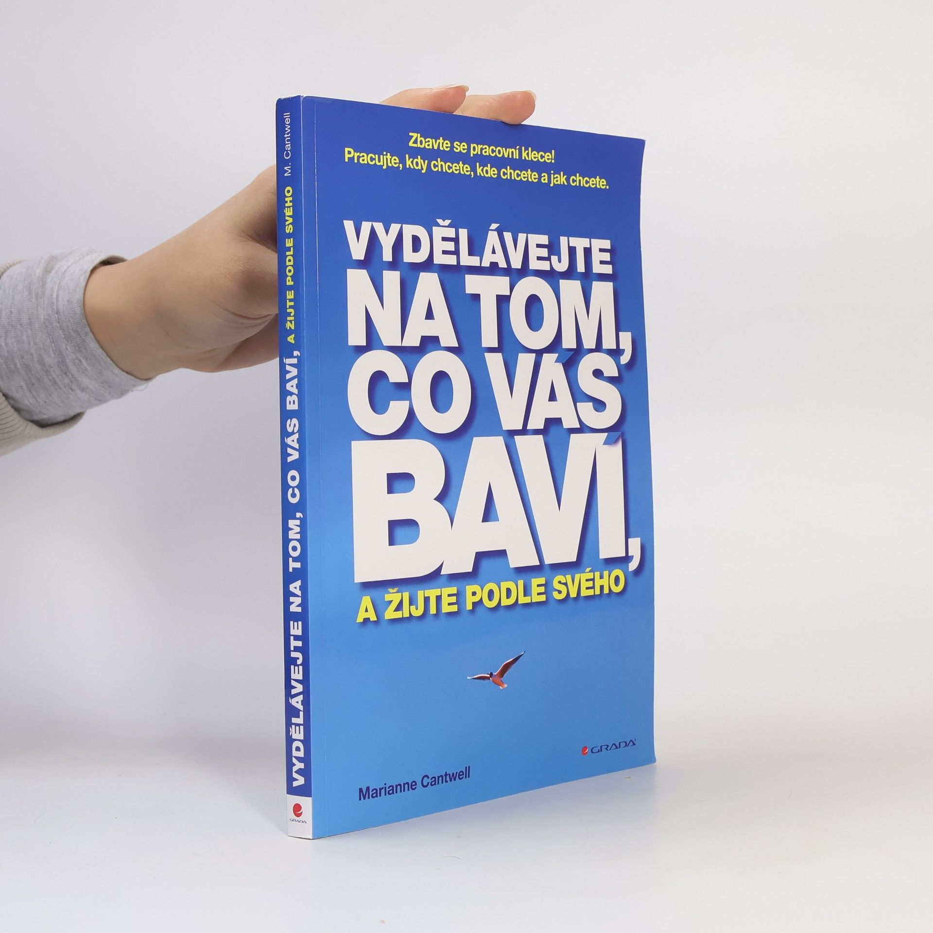 Marianne Cantwell Vydělávejte na tom, co vás baví, a žijte podle svého