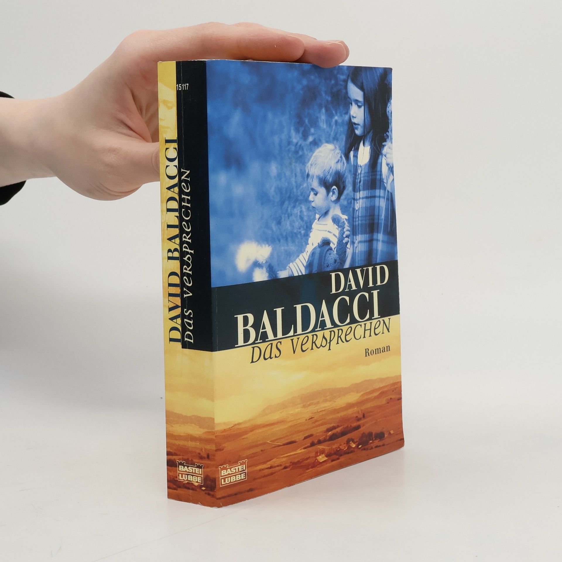David Baldacci Das Versprechen