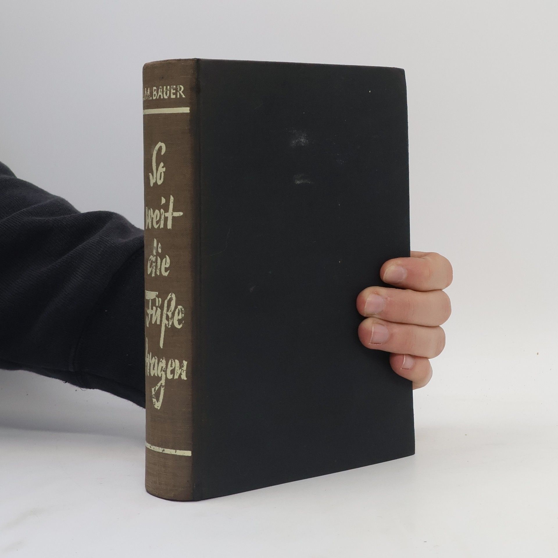 J.M. Bauer So weit die Füße tragen