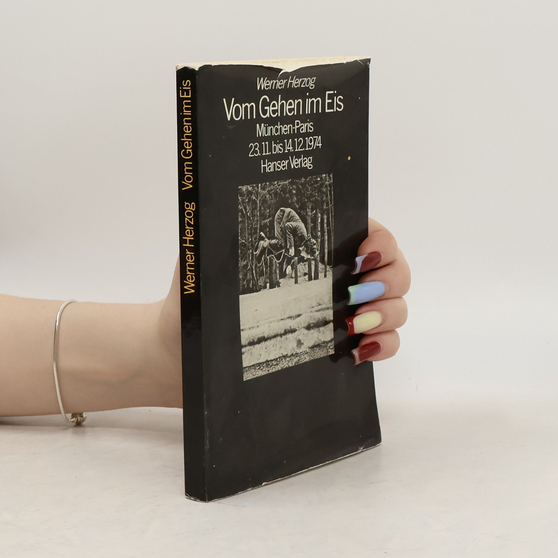 Werner Herzog Vom Gehen im Eis