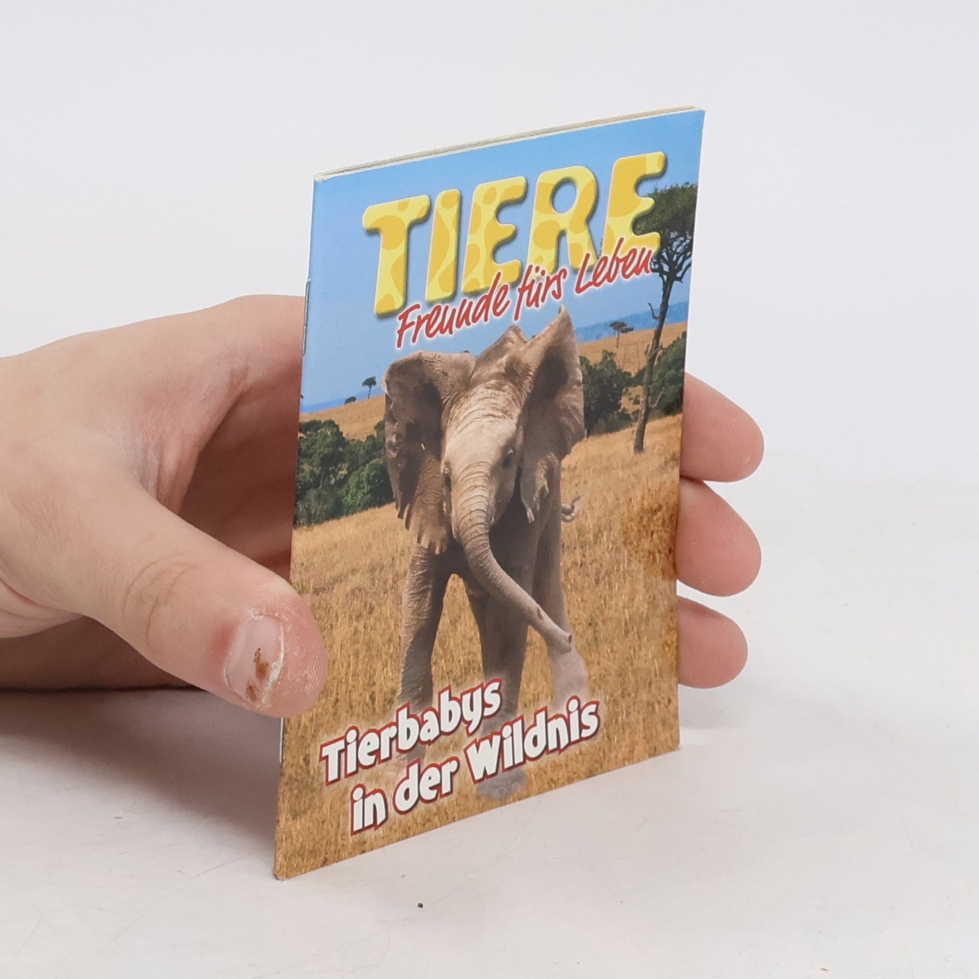 Tierbabys in der Wildnis