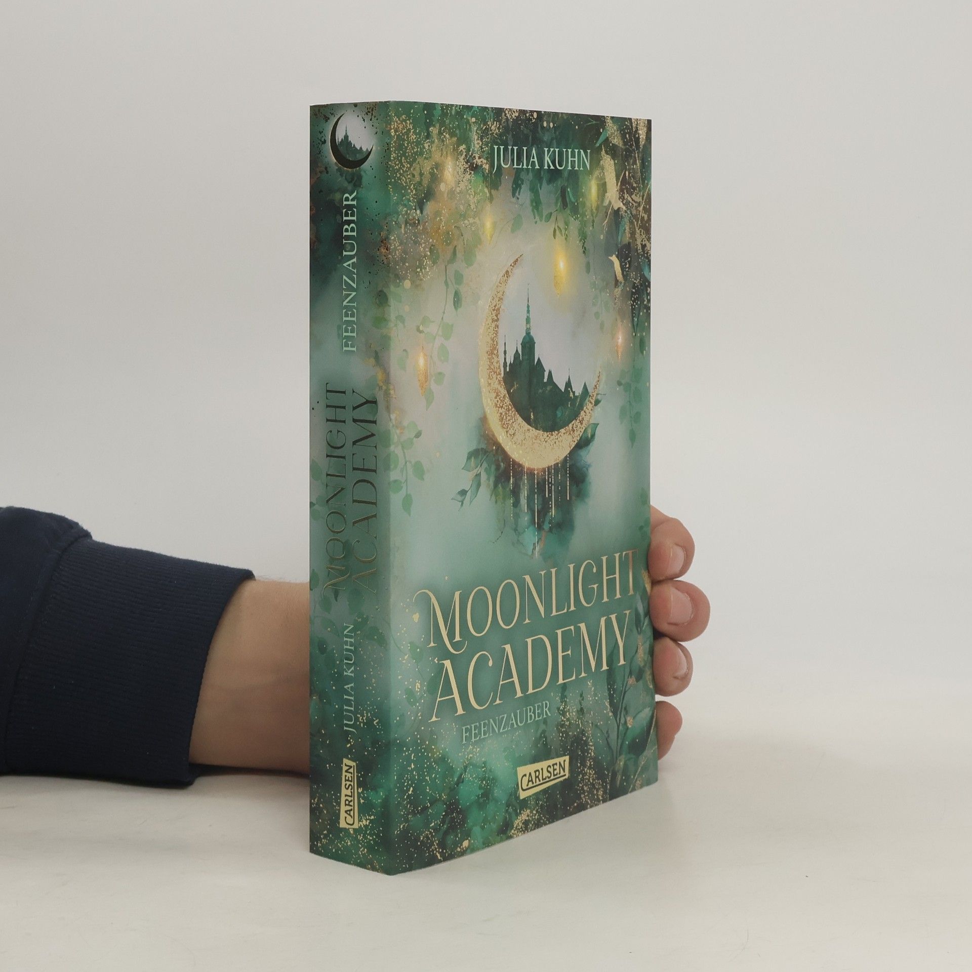 Julia Kuhn Moonlight Academy. Feenzauber