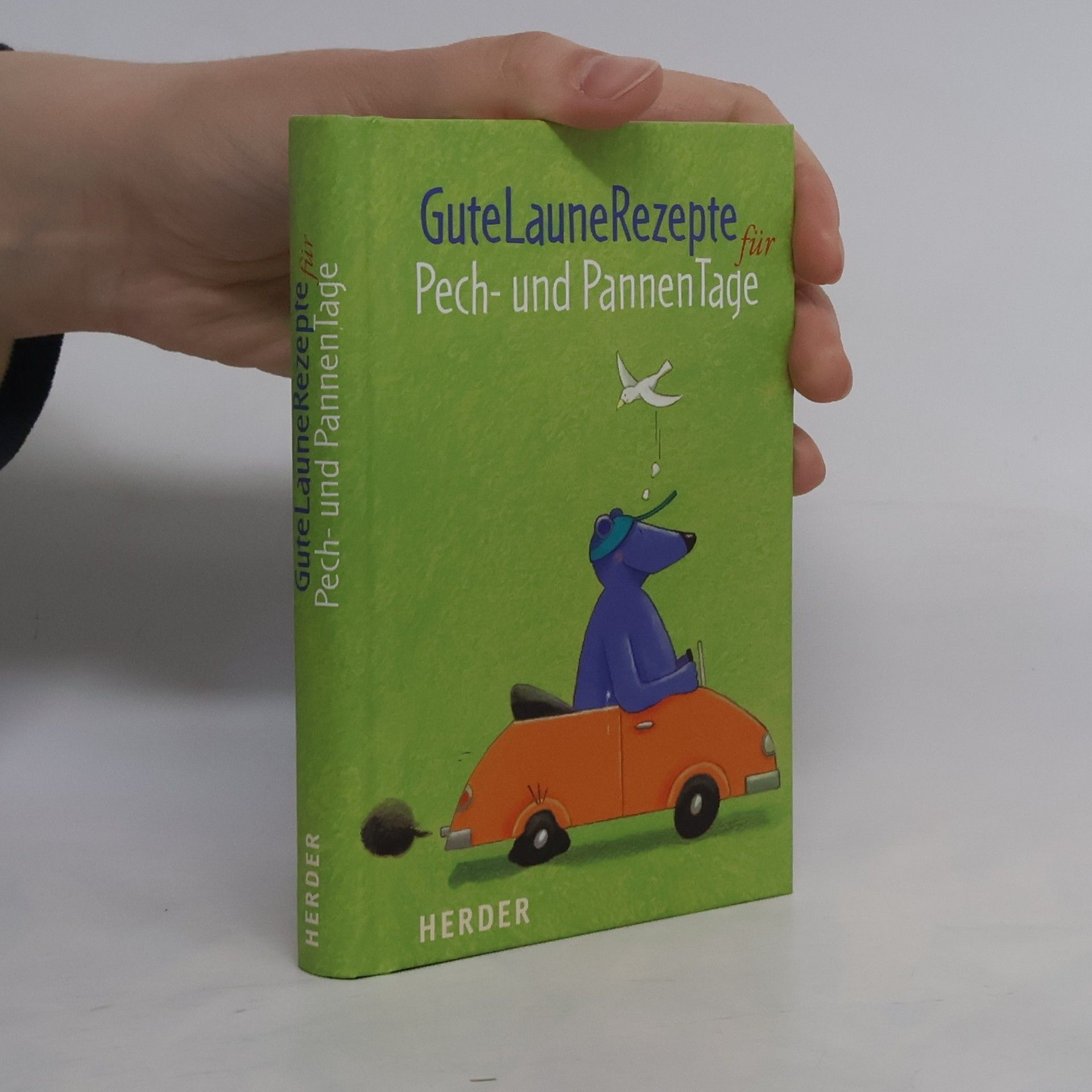 Fabian Bergmann GuteLauneRezepte für Pech- und PannenTage