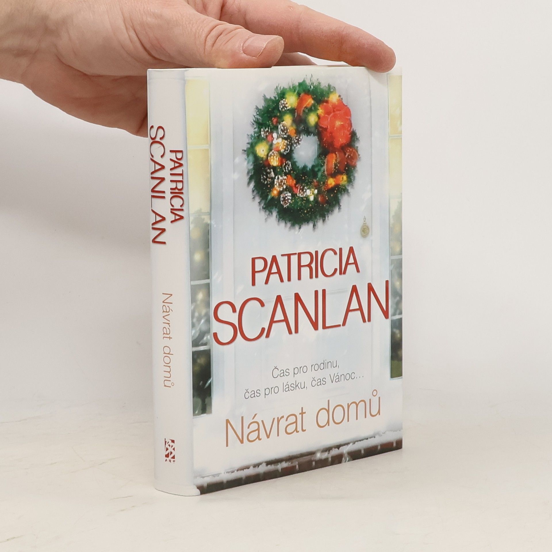 Patricia Scanlan Návrat domů