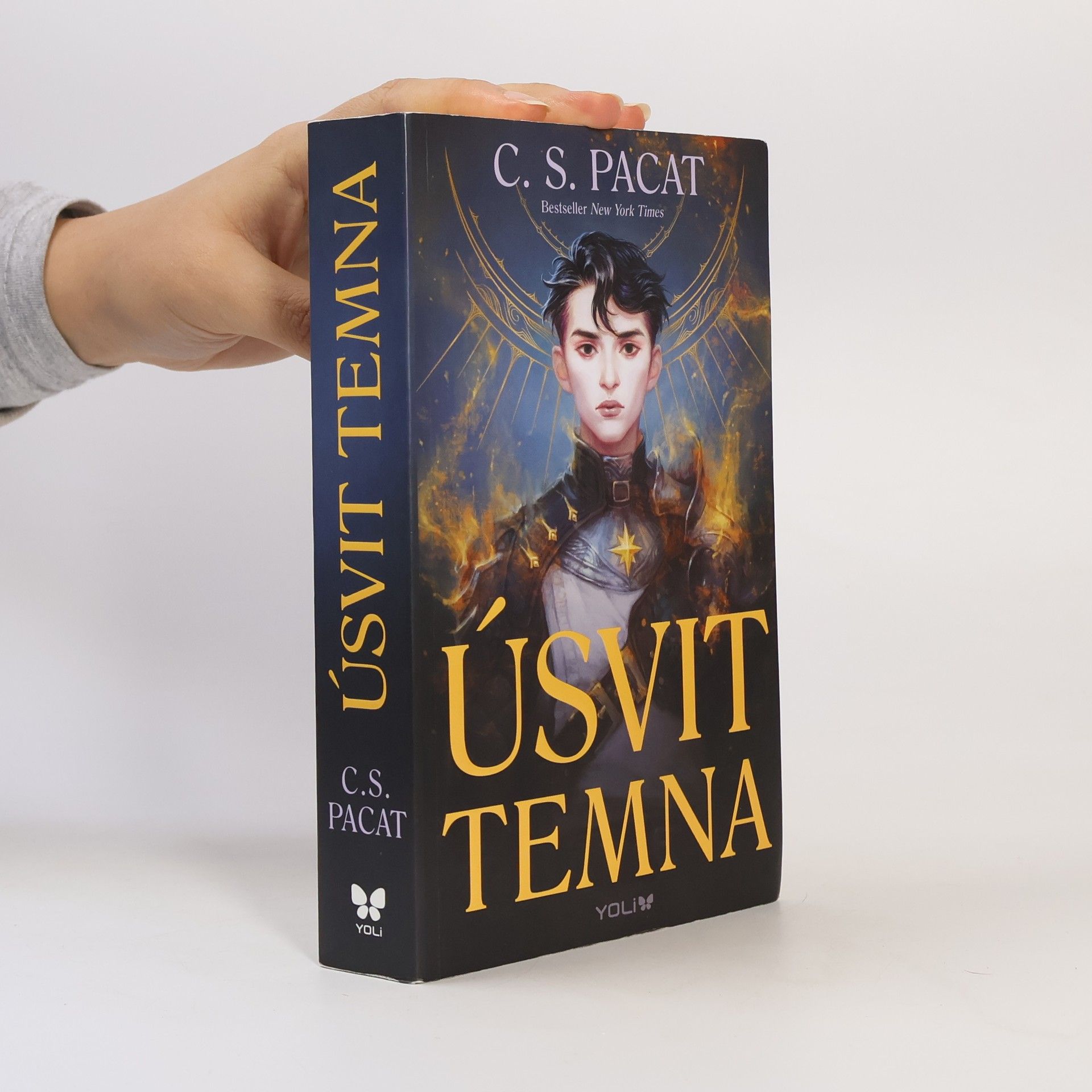 C. S. Pacat Úsvit temna